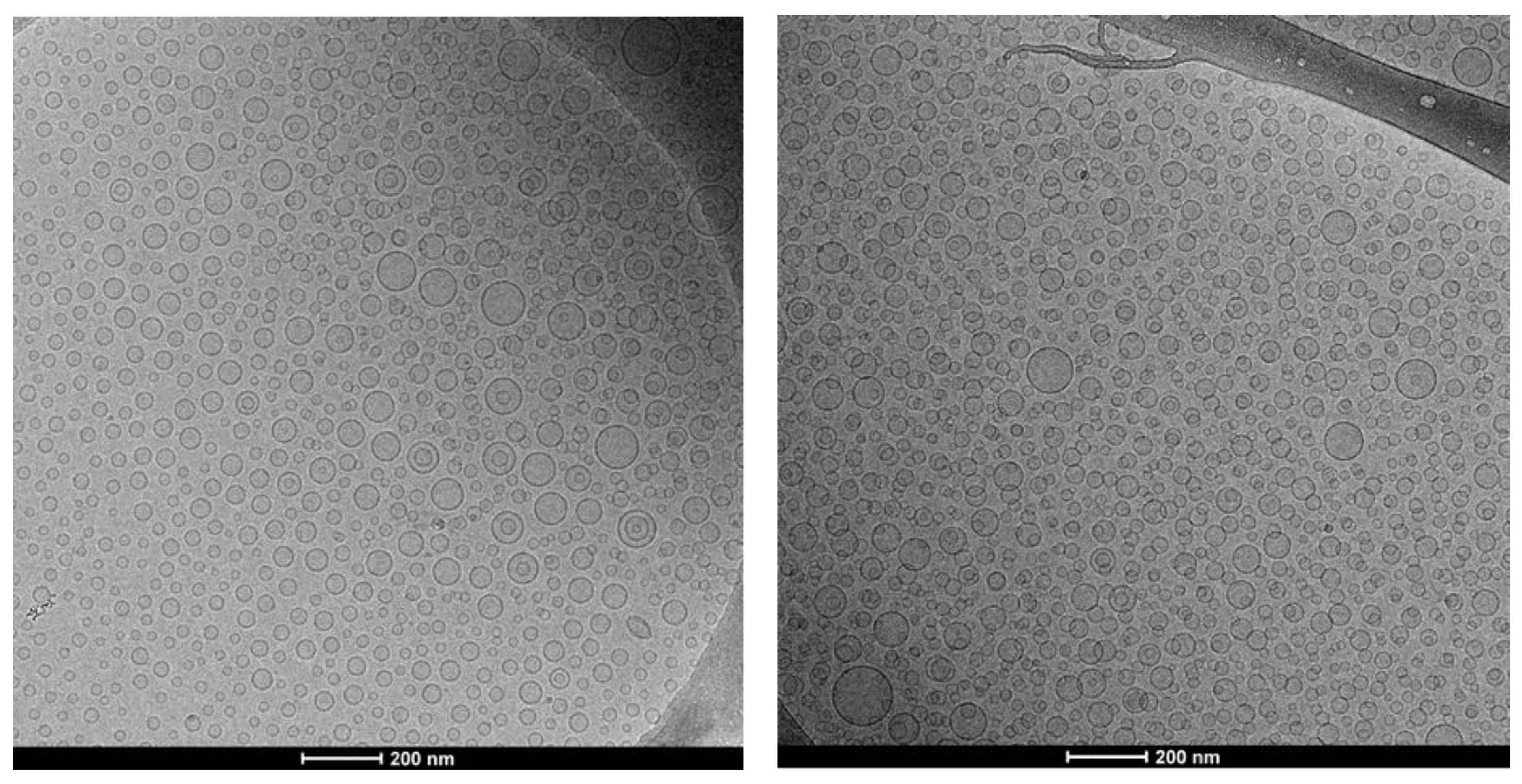 Pharmaceuticals 13 00216 g002 Pharmaceuticals 13 00216 g002