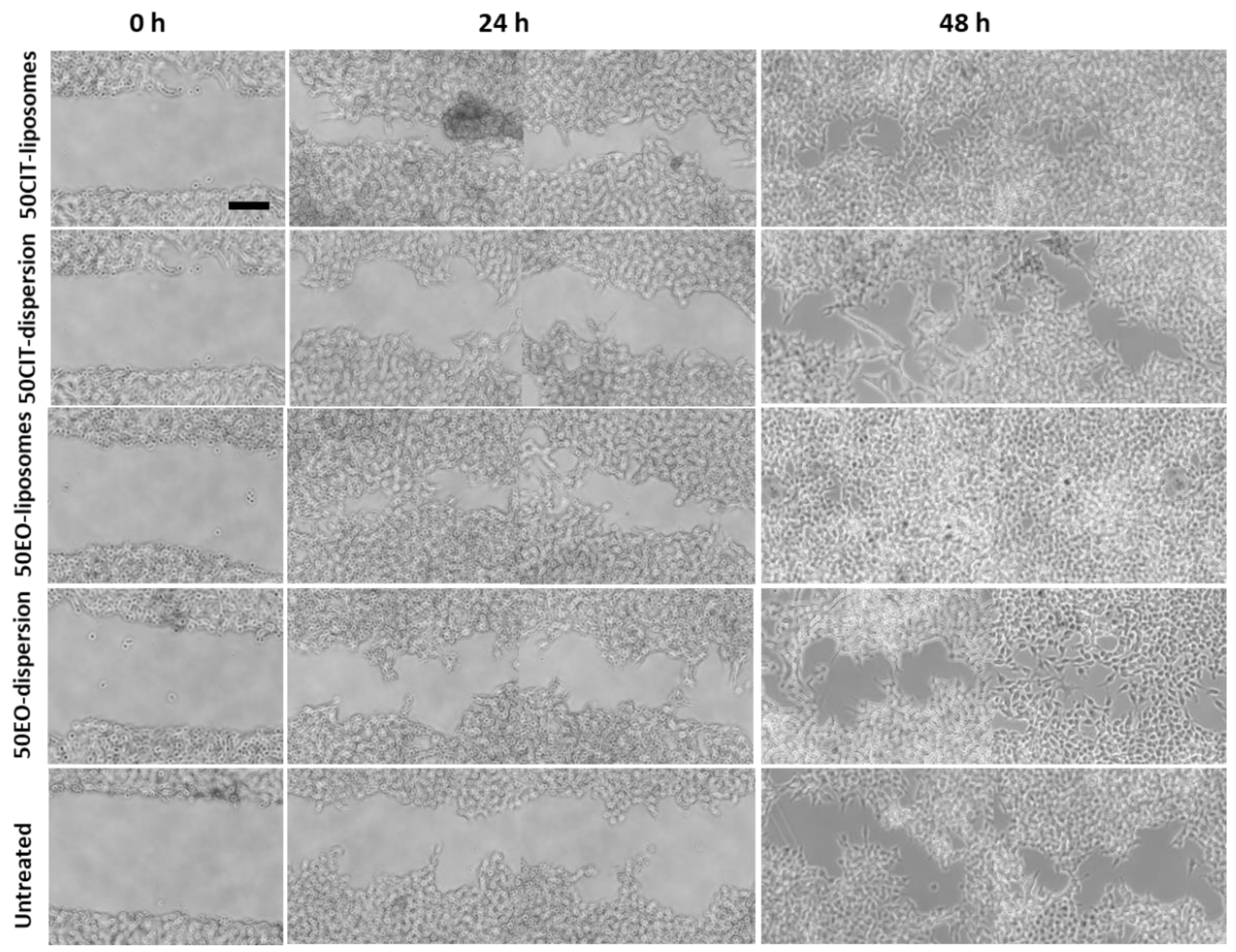 Pharmaceuticals 13 00216 g006 Pharmaceuticals 13 00216 g006