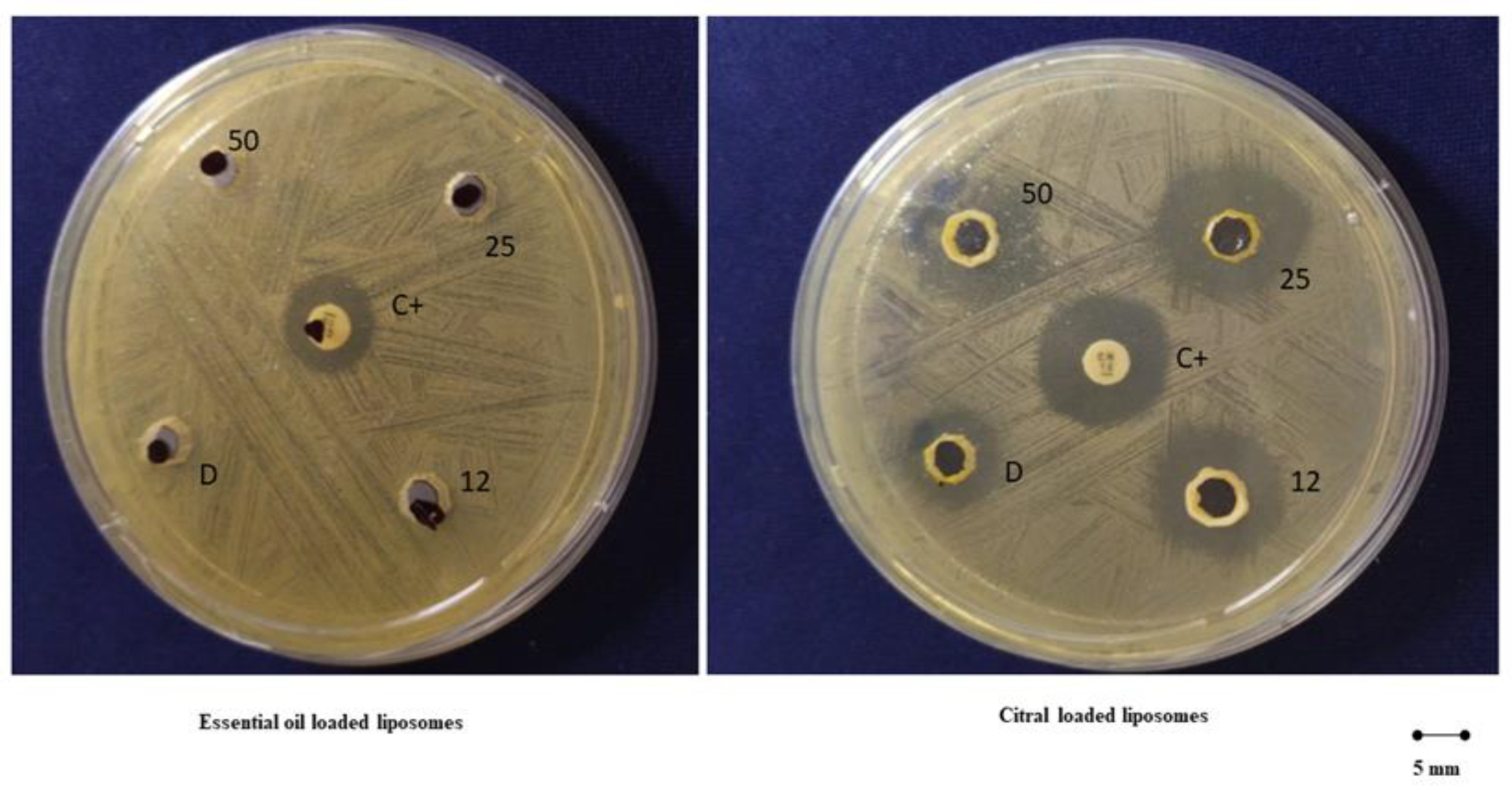Pharmaceuticals 13 00216 g008 Pharmaceuticals 13 00216 g008