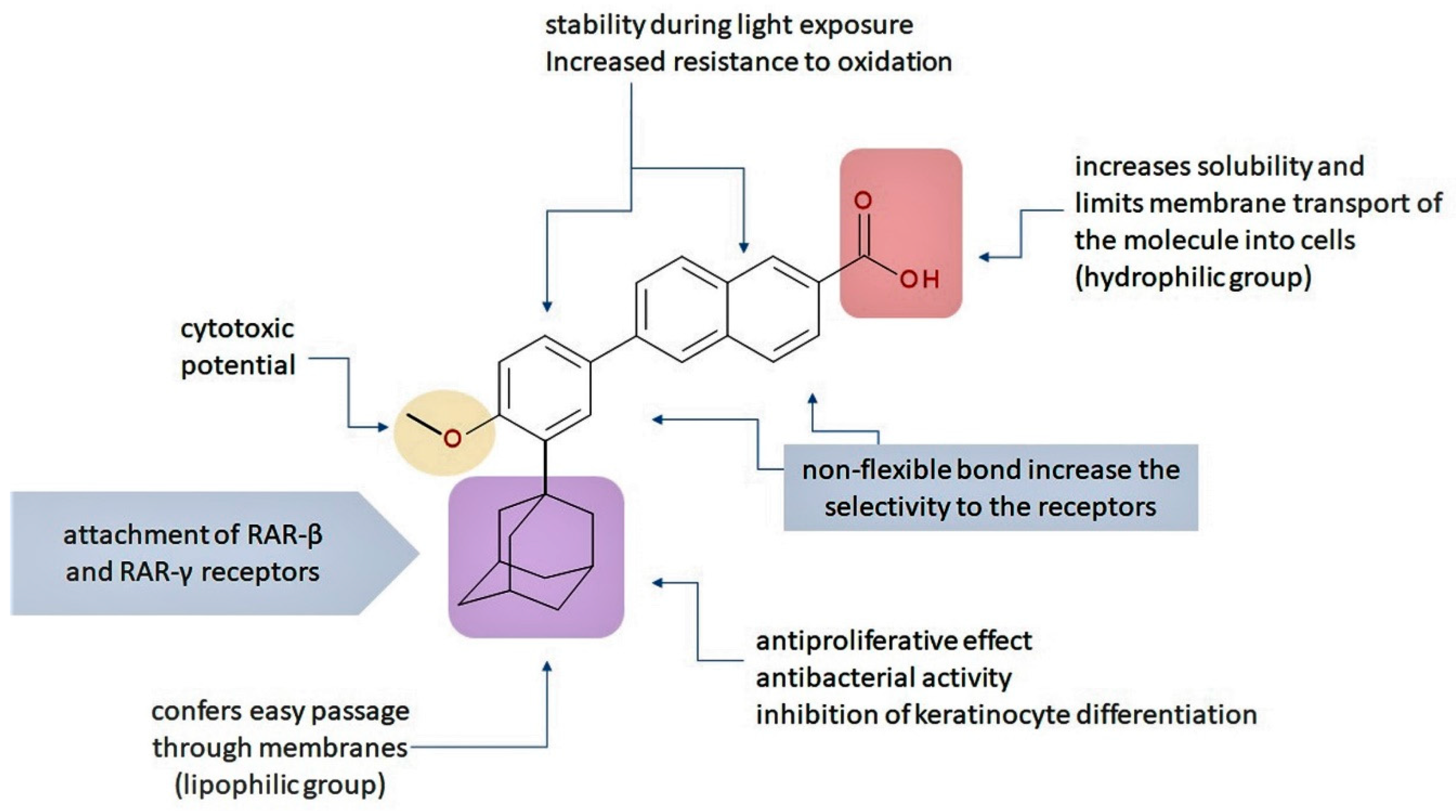 Pharmaceuticals 13 00217 g001