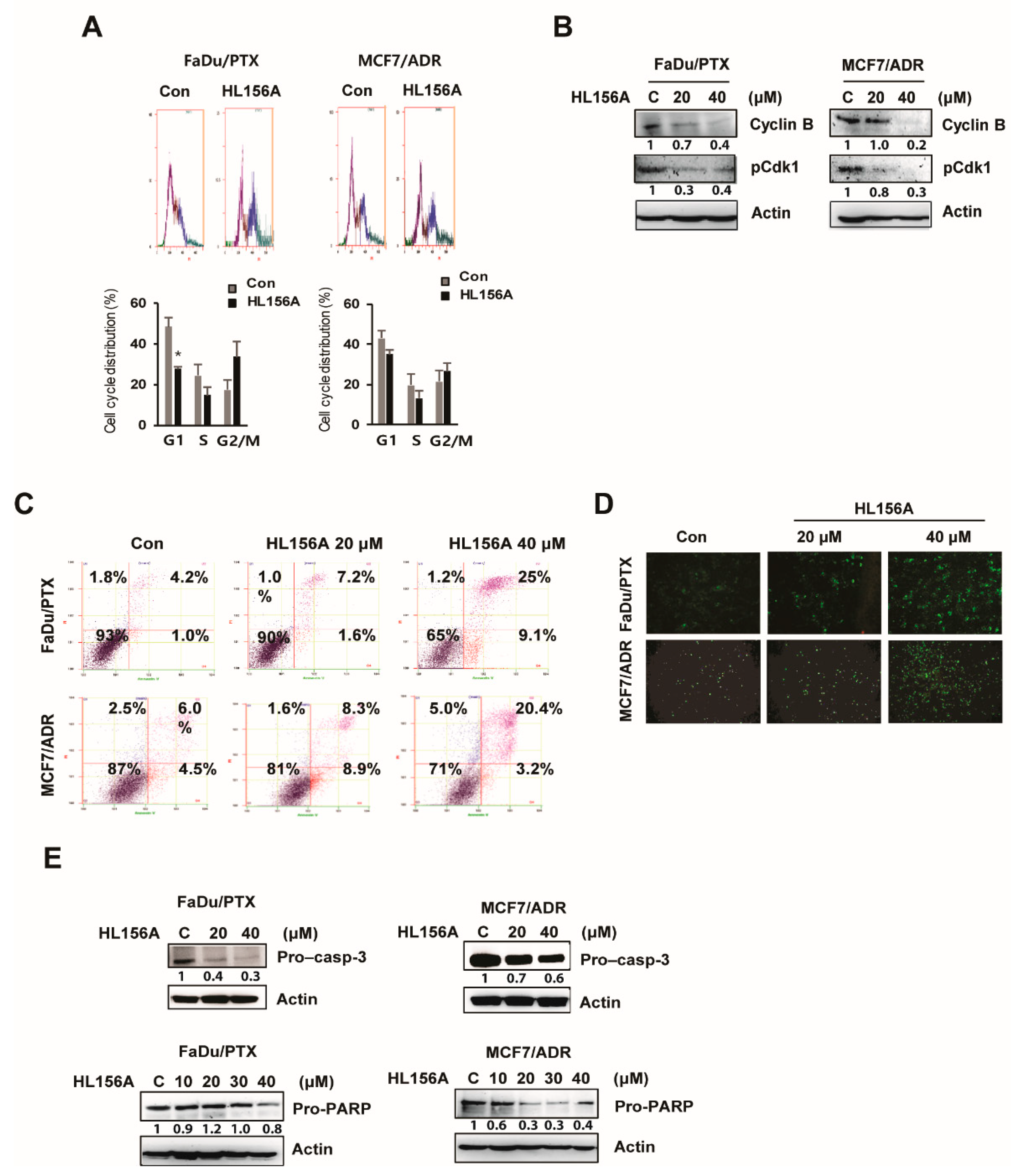Pharmaceuticals 13 00218 g002 Pharmaceuticals 13 00218 g002