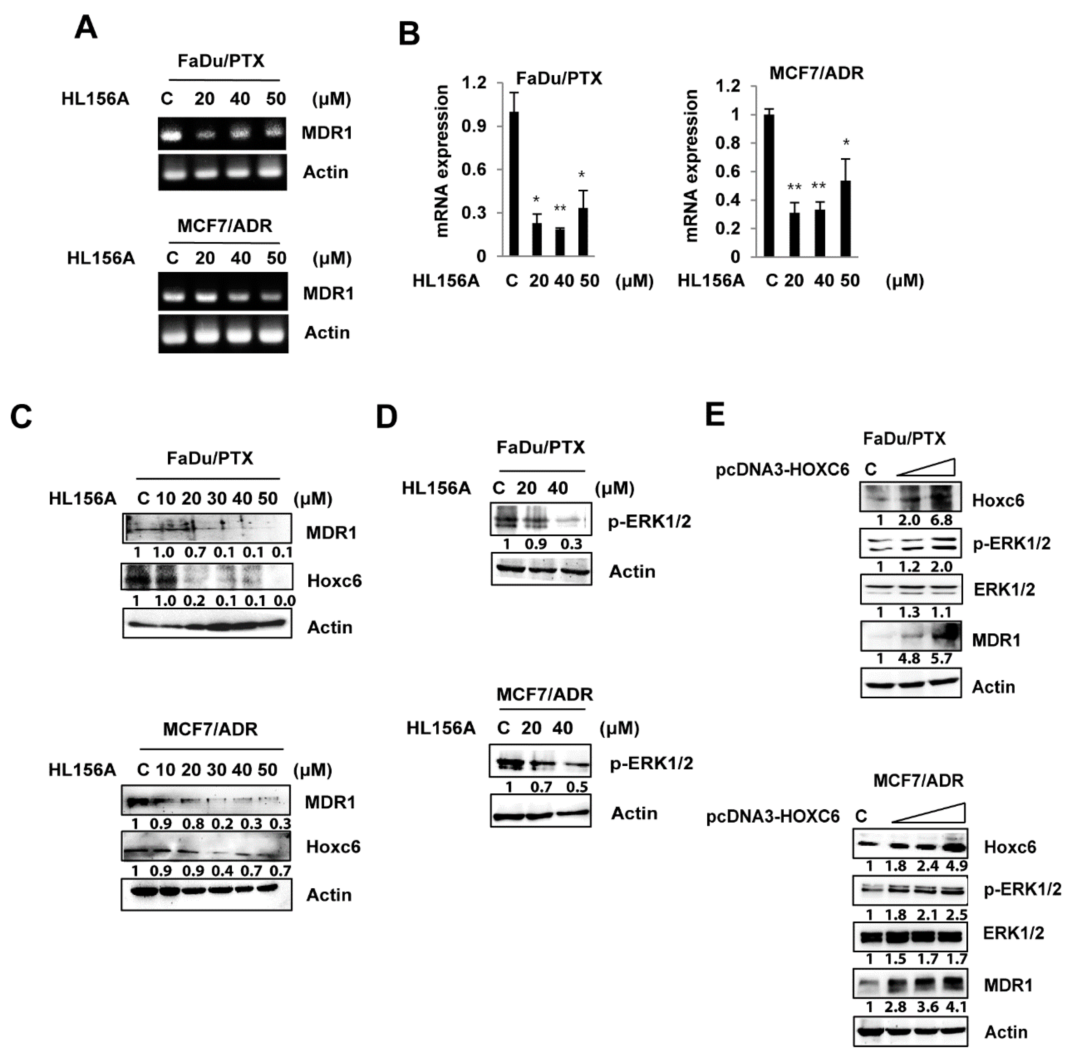 Pharmaceuticals 13 00218 g004 Pharmaceuticals 13 00218 g004