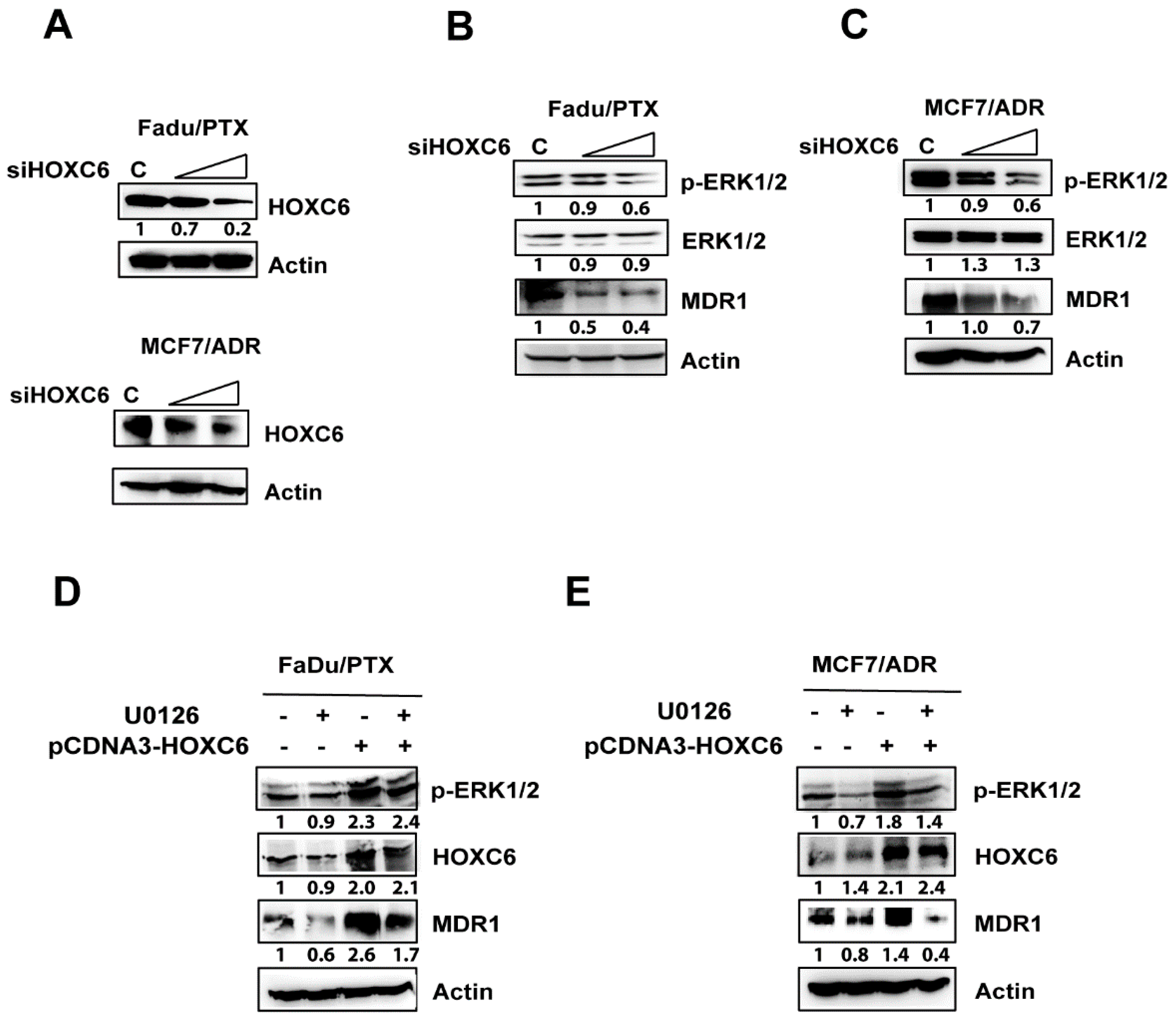 Pharmaceuticals 13 00218 g005 Pharmaceuticals 13 00218 g005