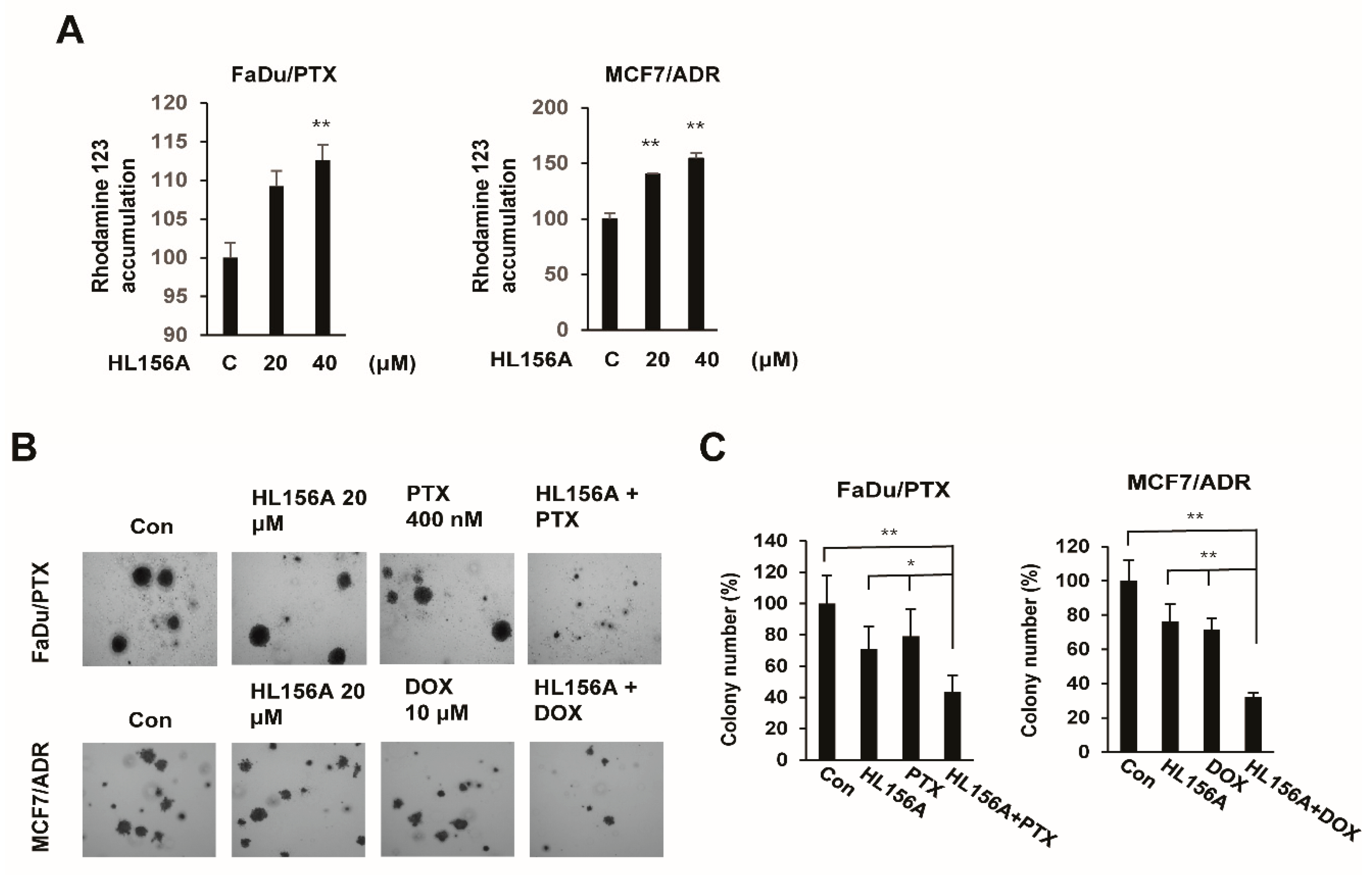 Pharmaceuticals 13 00218 g006 Pharmaceuticals 13 00218 g006