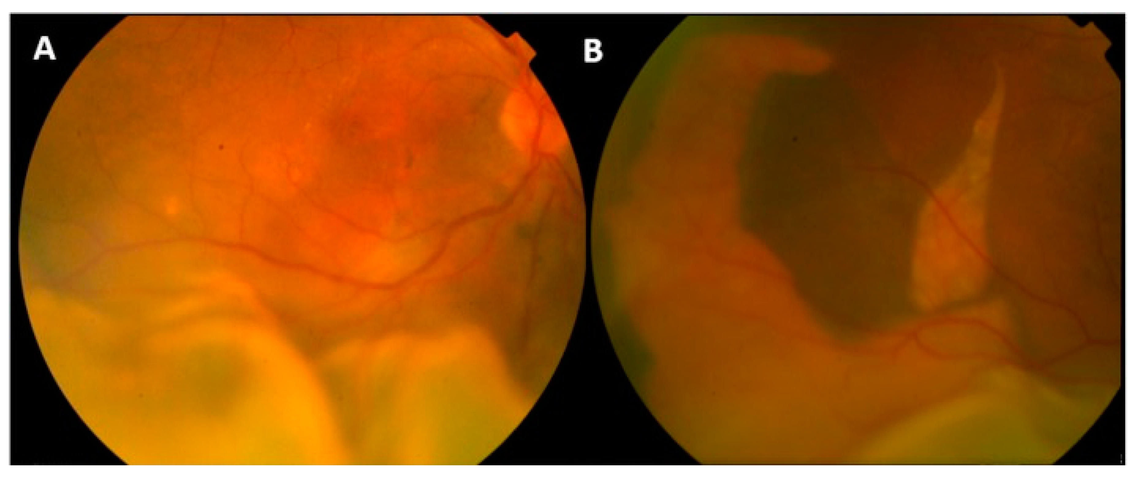 Pharmaceuticals 13 00221 g001