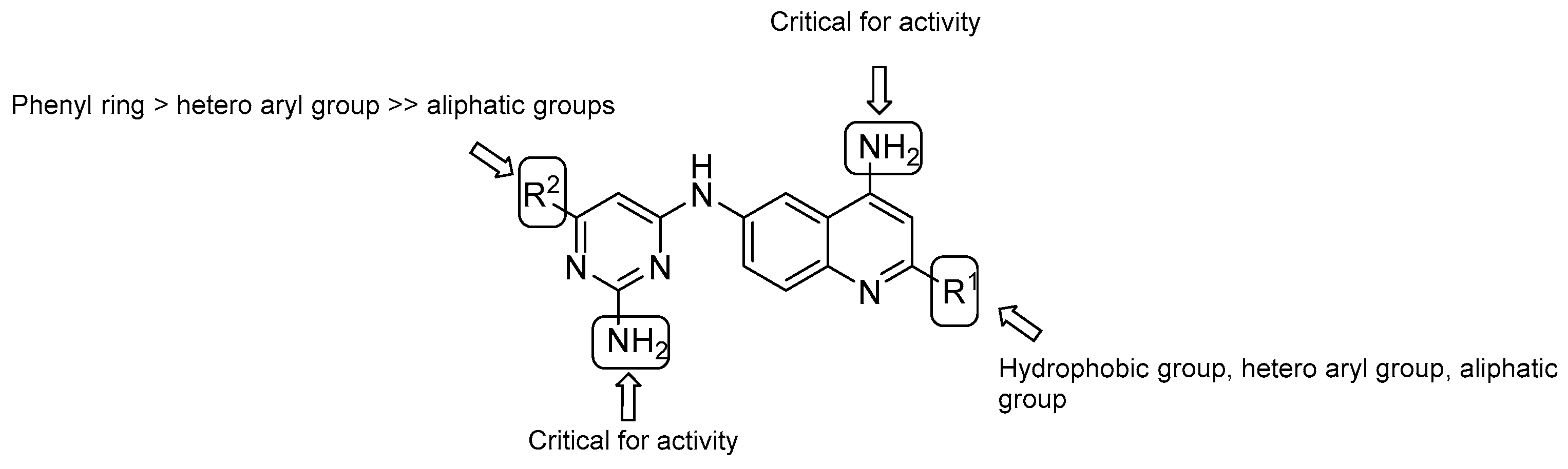 Pharmaceuticals 13 00227 g004
