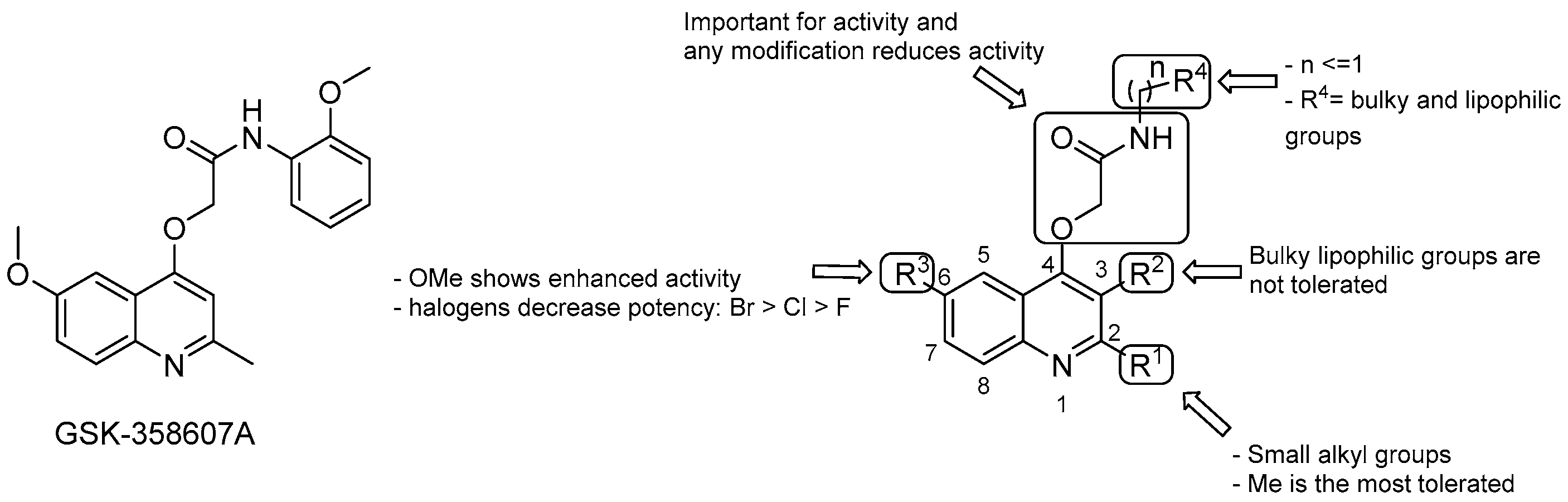 Pharmaceuticals 13 00227 g009