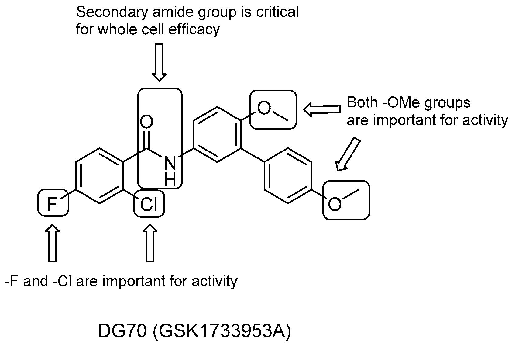Pharmaceuticals 13 00227 g016