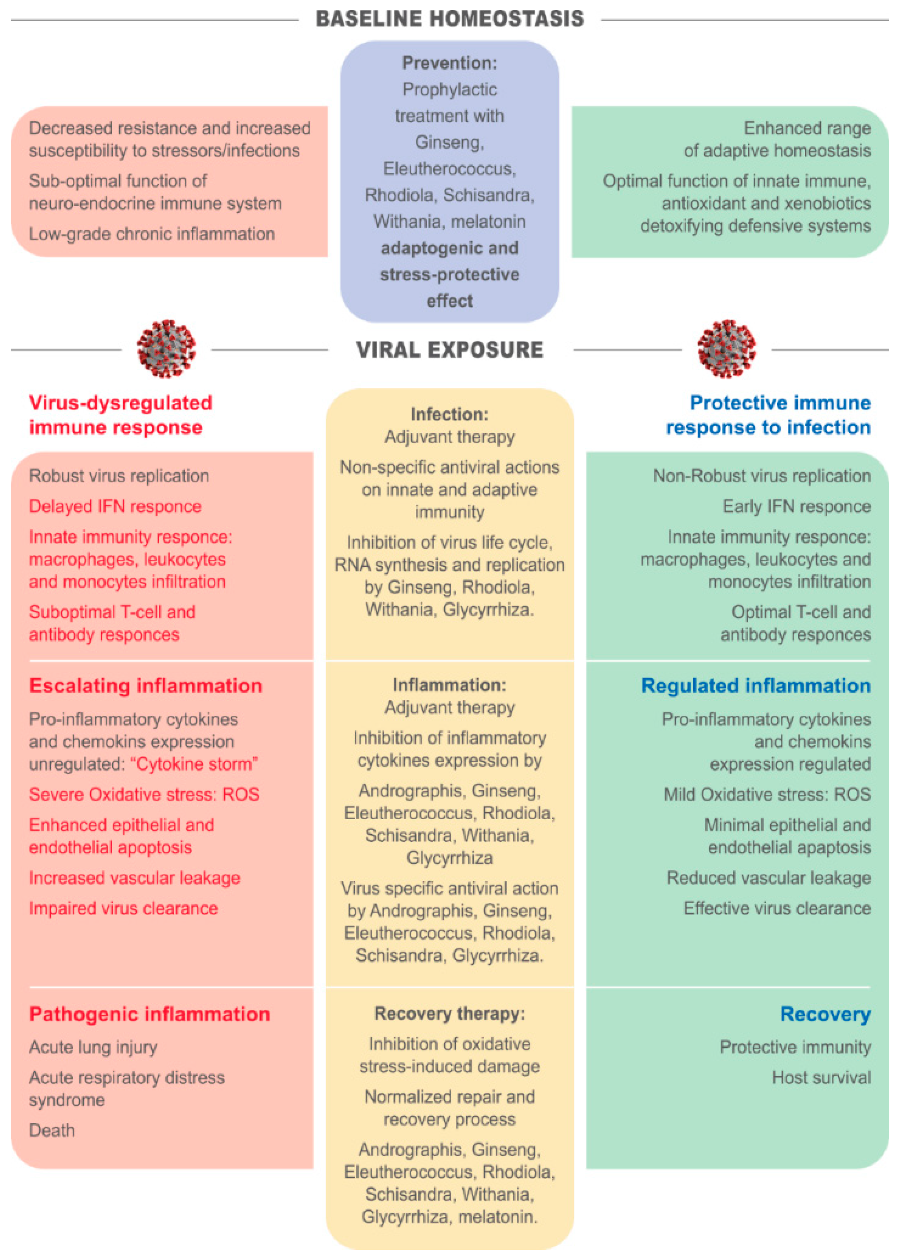 Pharmaceuticals 13 00236 g002