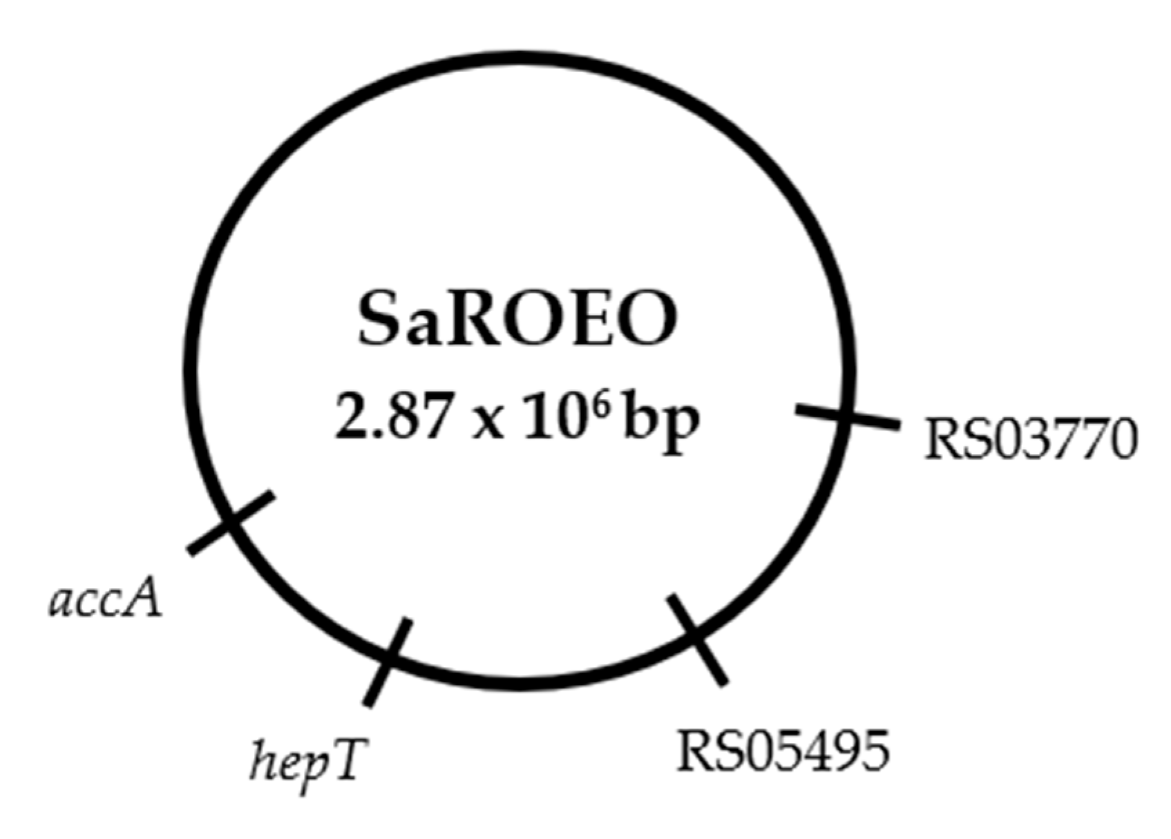 Pharmaceuticals 13 00239 g004 Pharmaceuticals 13 00239 g004