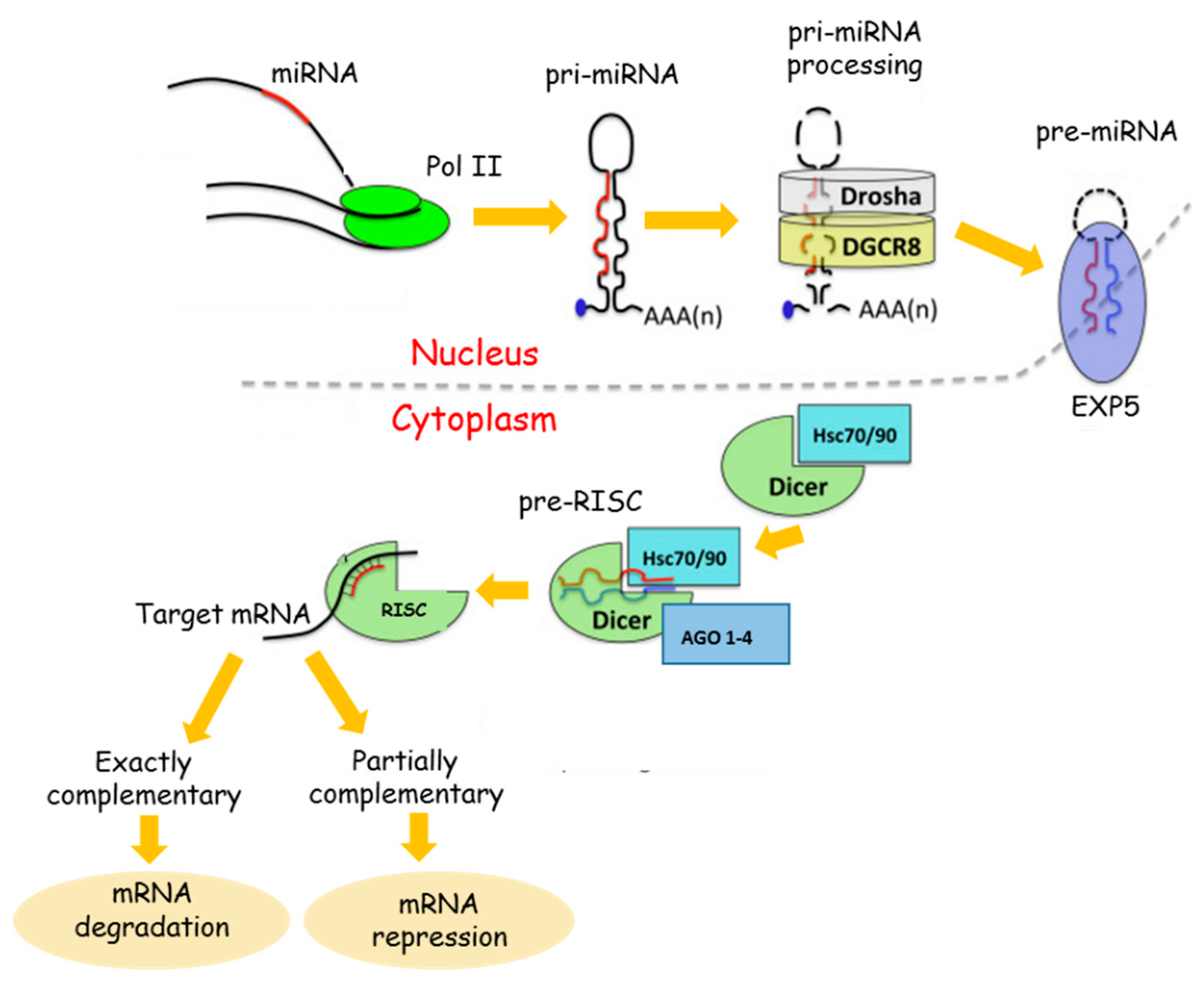 Pharmaceuticals 13 00243 g001