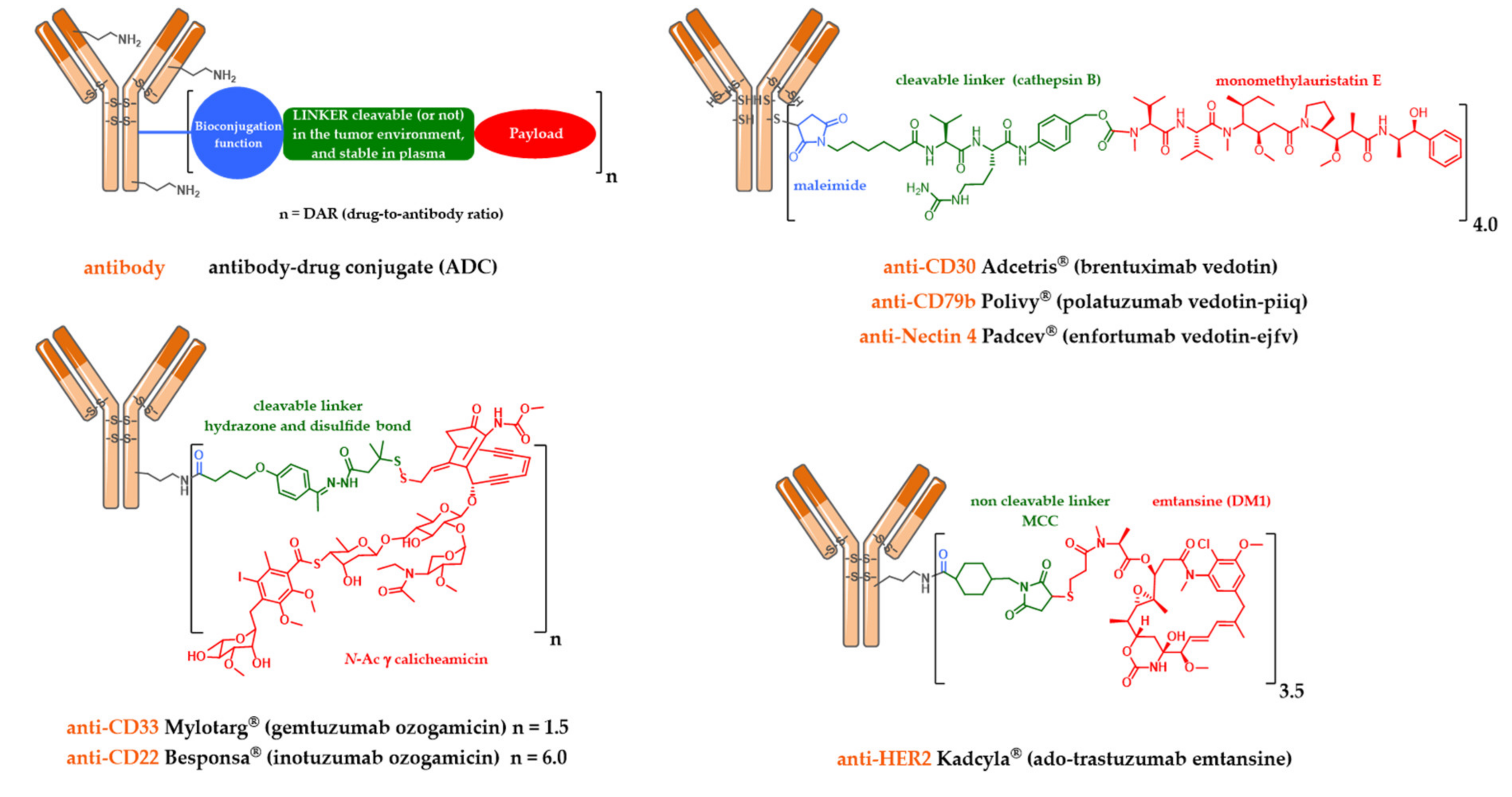Pharmaceuticals 13 00245 g001