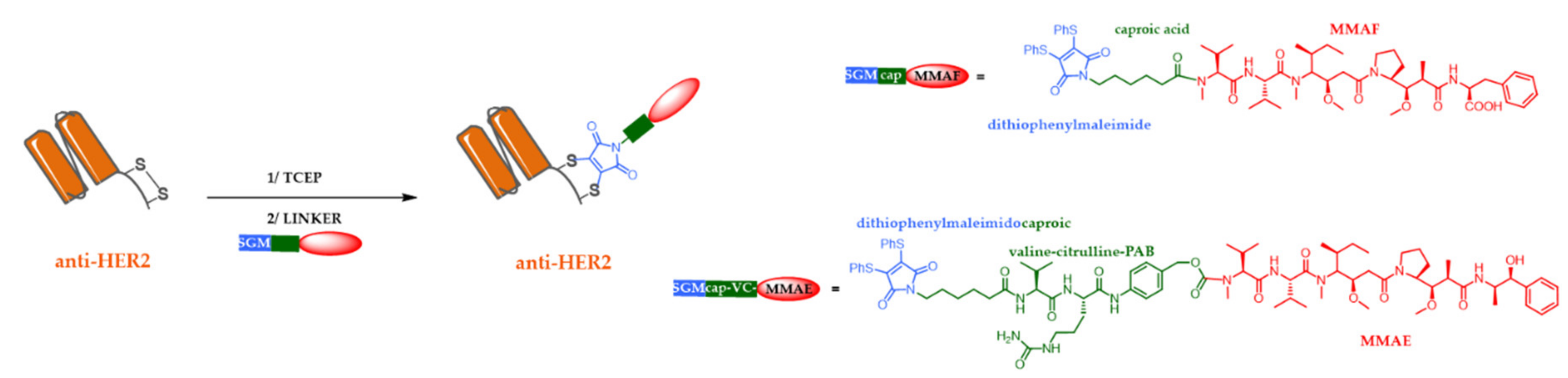 Pharmaceuticals 13 00245 g005