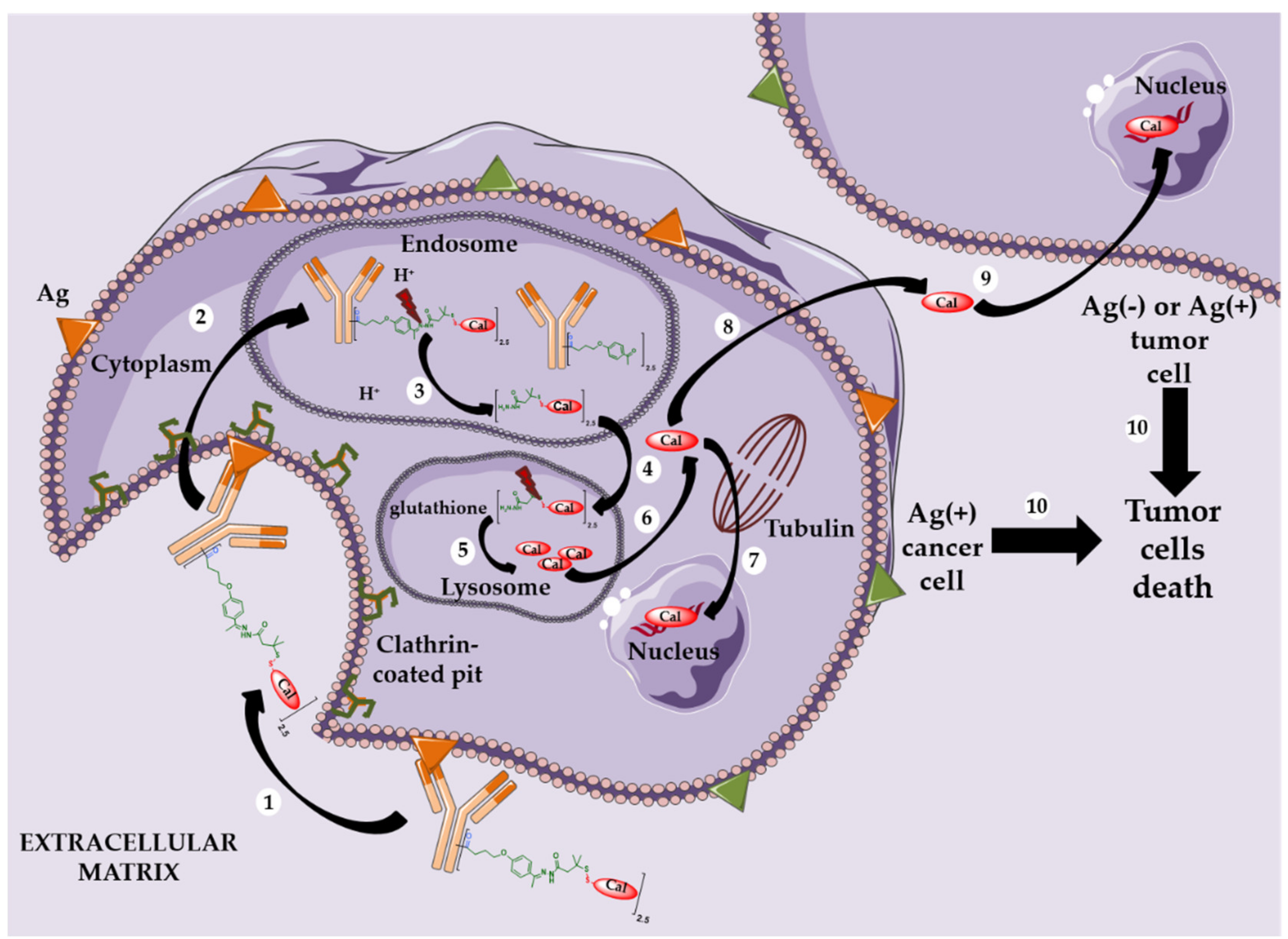 Pharmaceuticals 13 00245 sch001