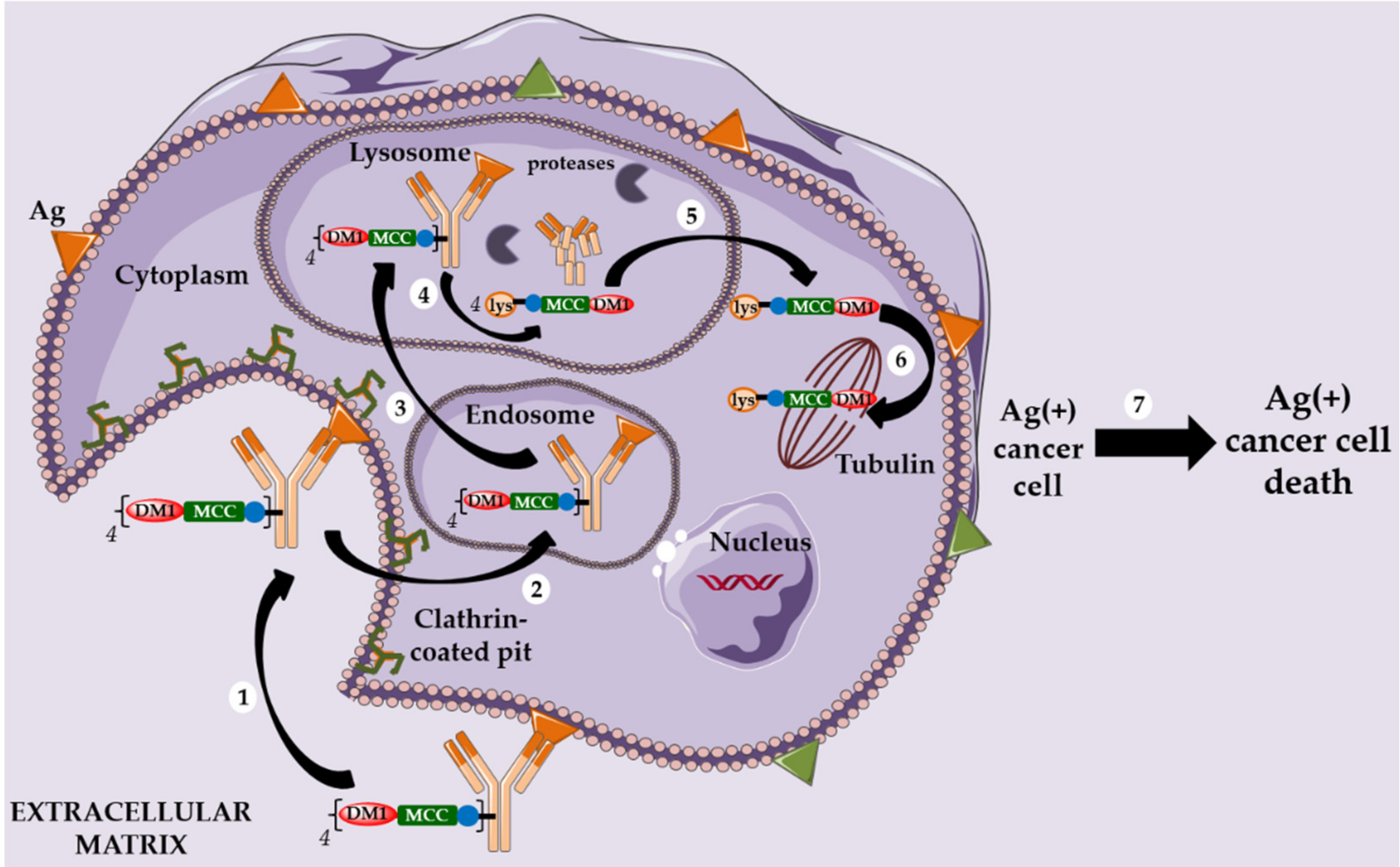Pharmaceuticals 13 00245 sch002