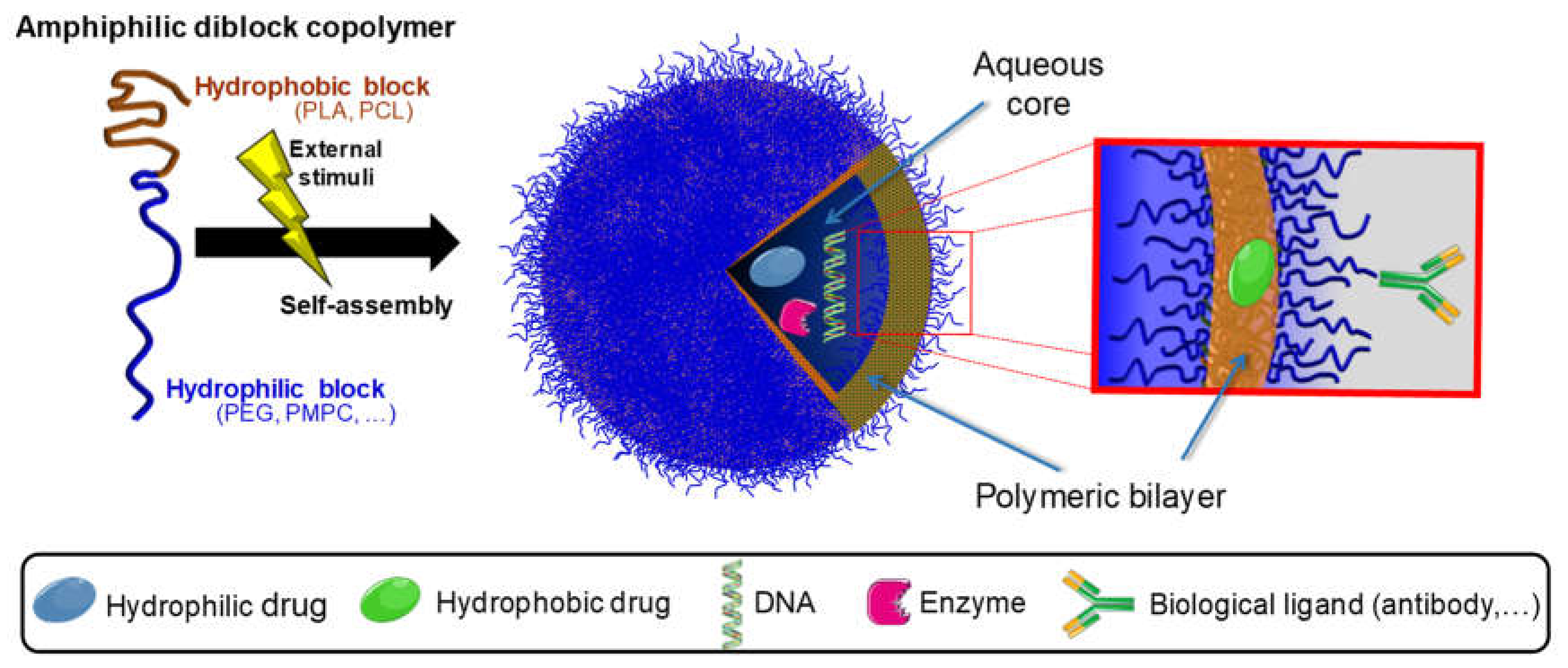 Pharmaceuticals 13 00248 g003