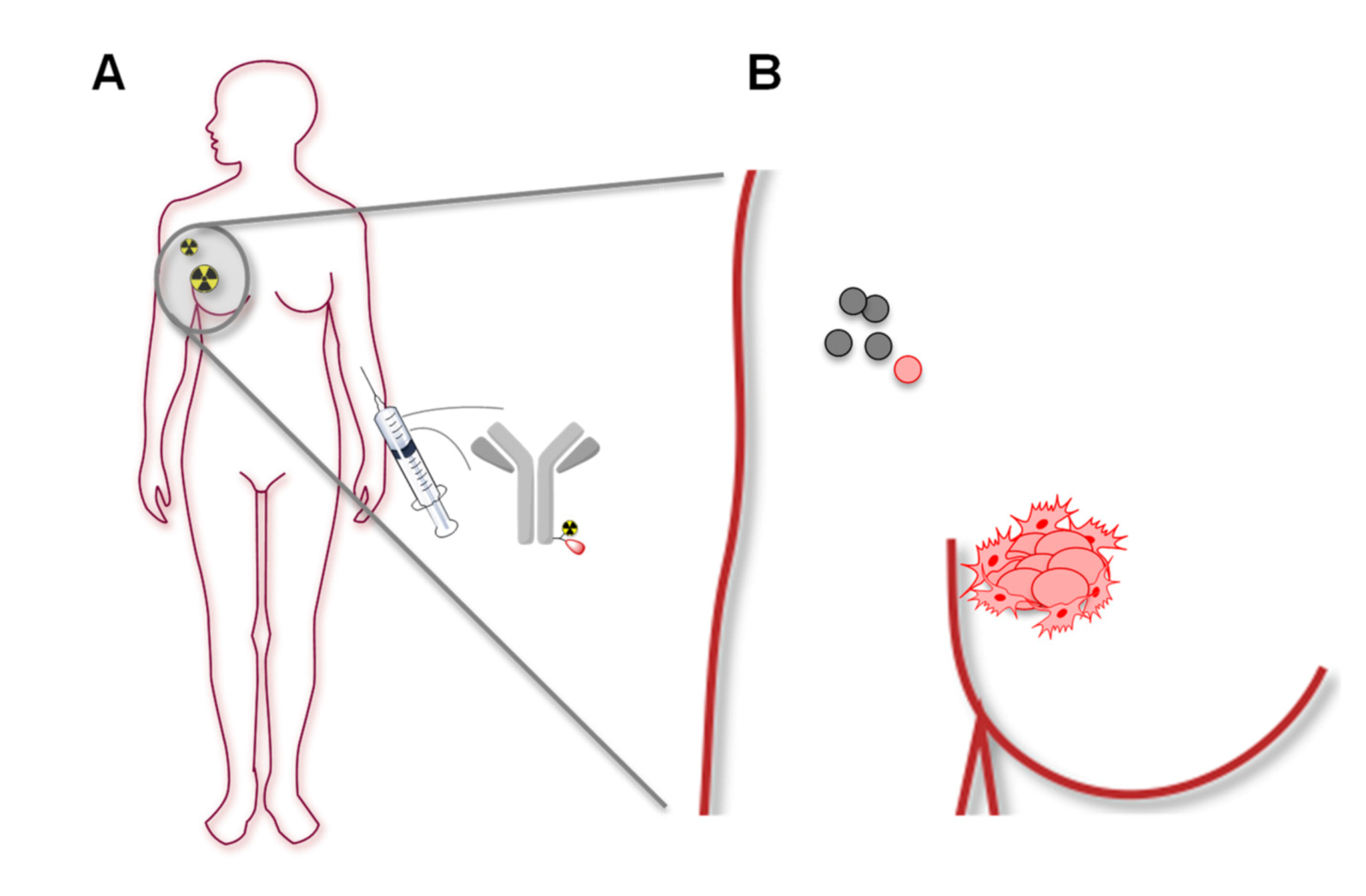 Pharmaceuticals 13 00250 g001
