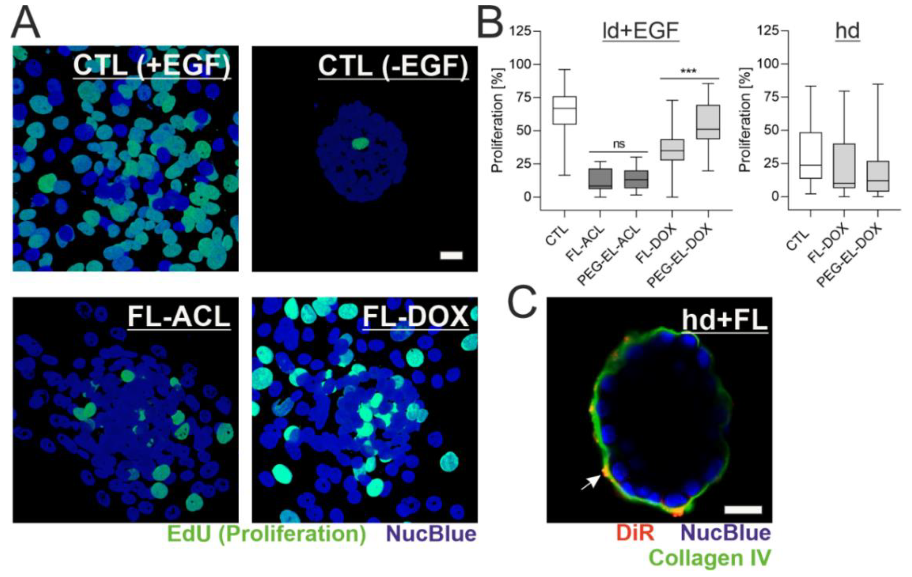 Pharmaceuticals 13 00256 g006 Pharmaceuticals 13 00256 g006