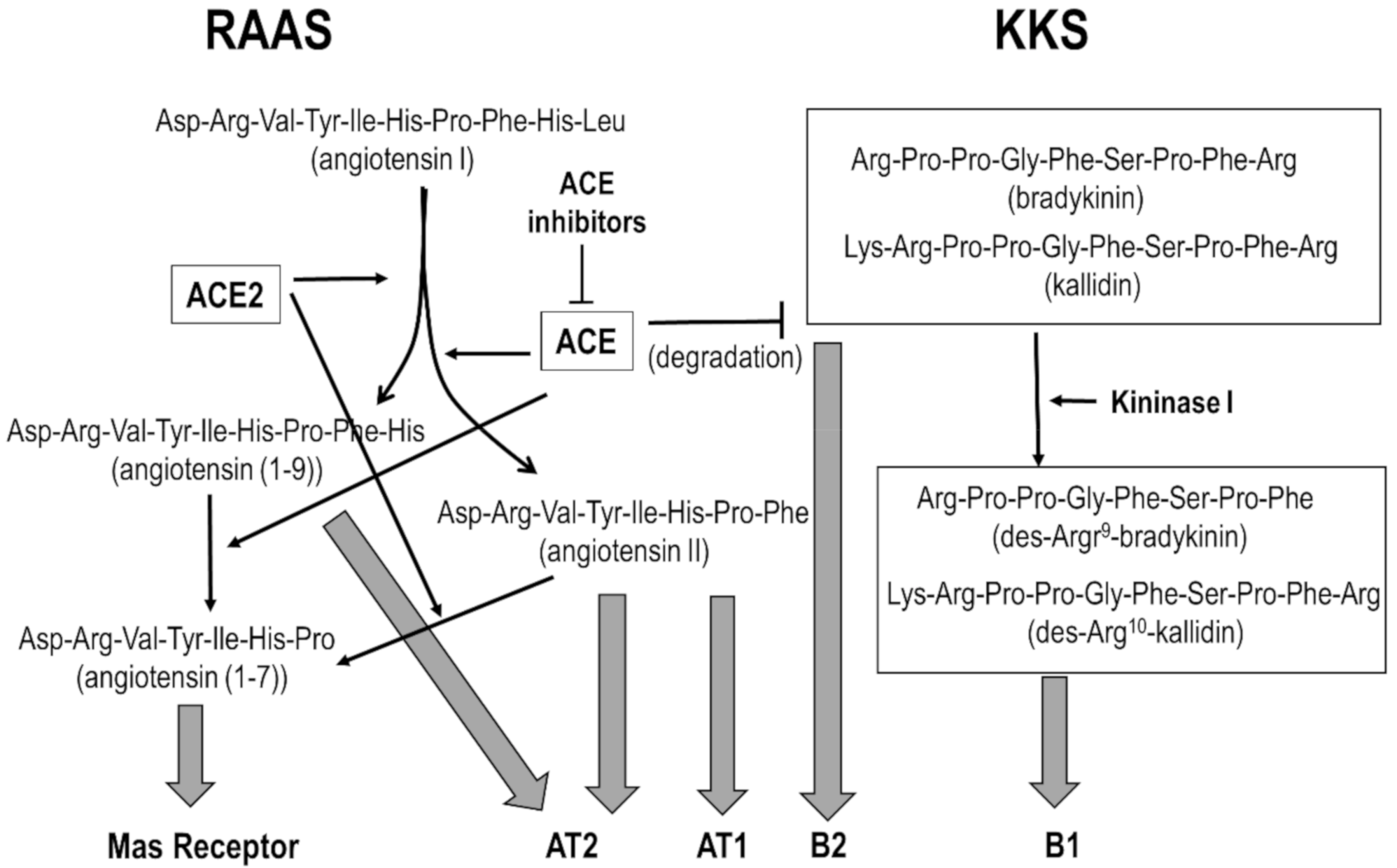 Pharmaceuticals 13 00259 g001