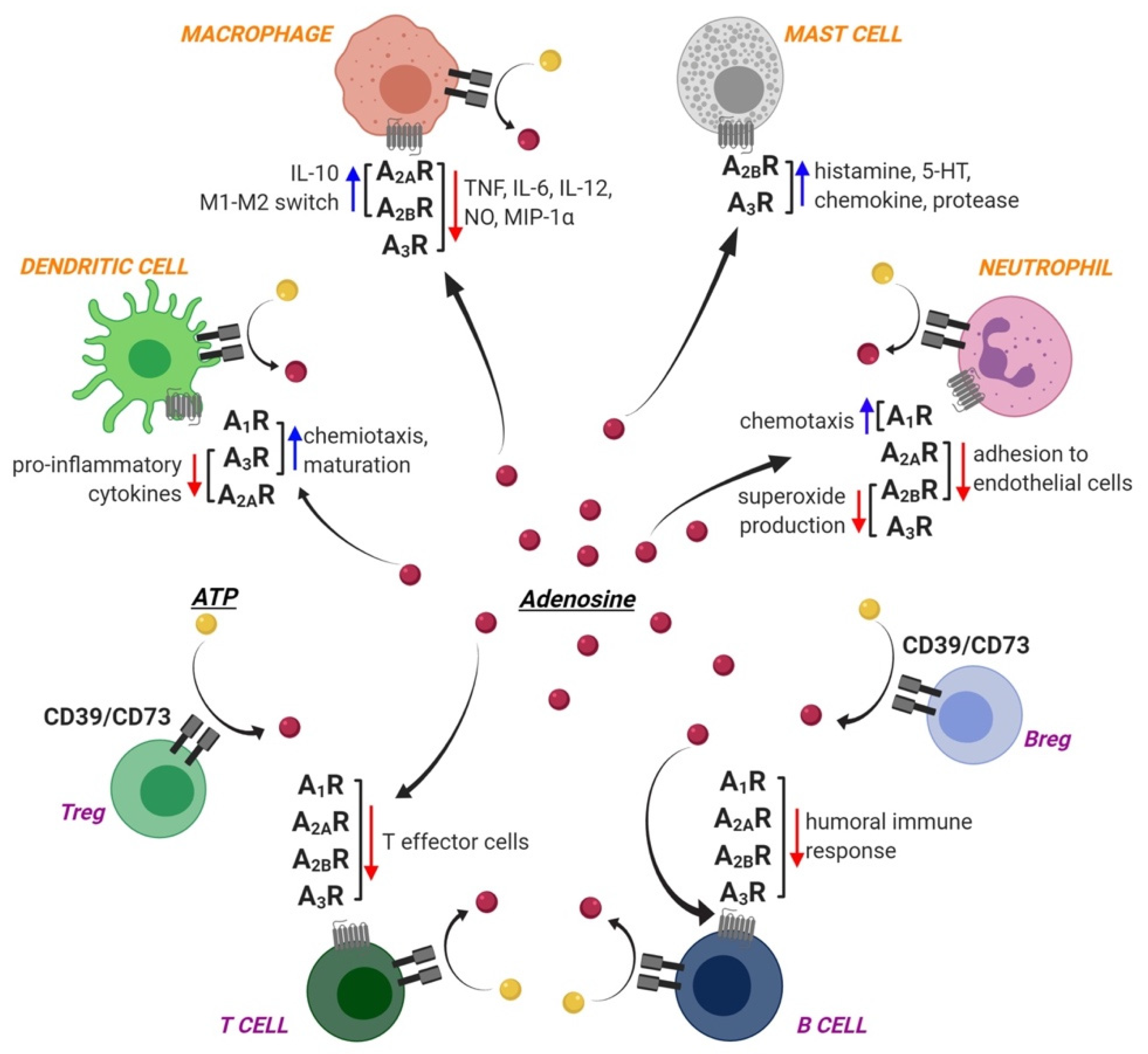 Pharmaceuticals 13 00260 g001