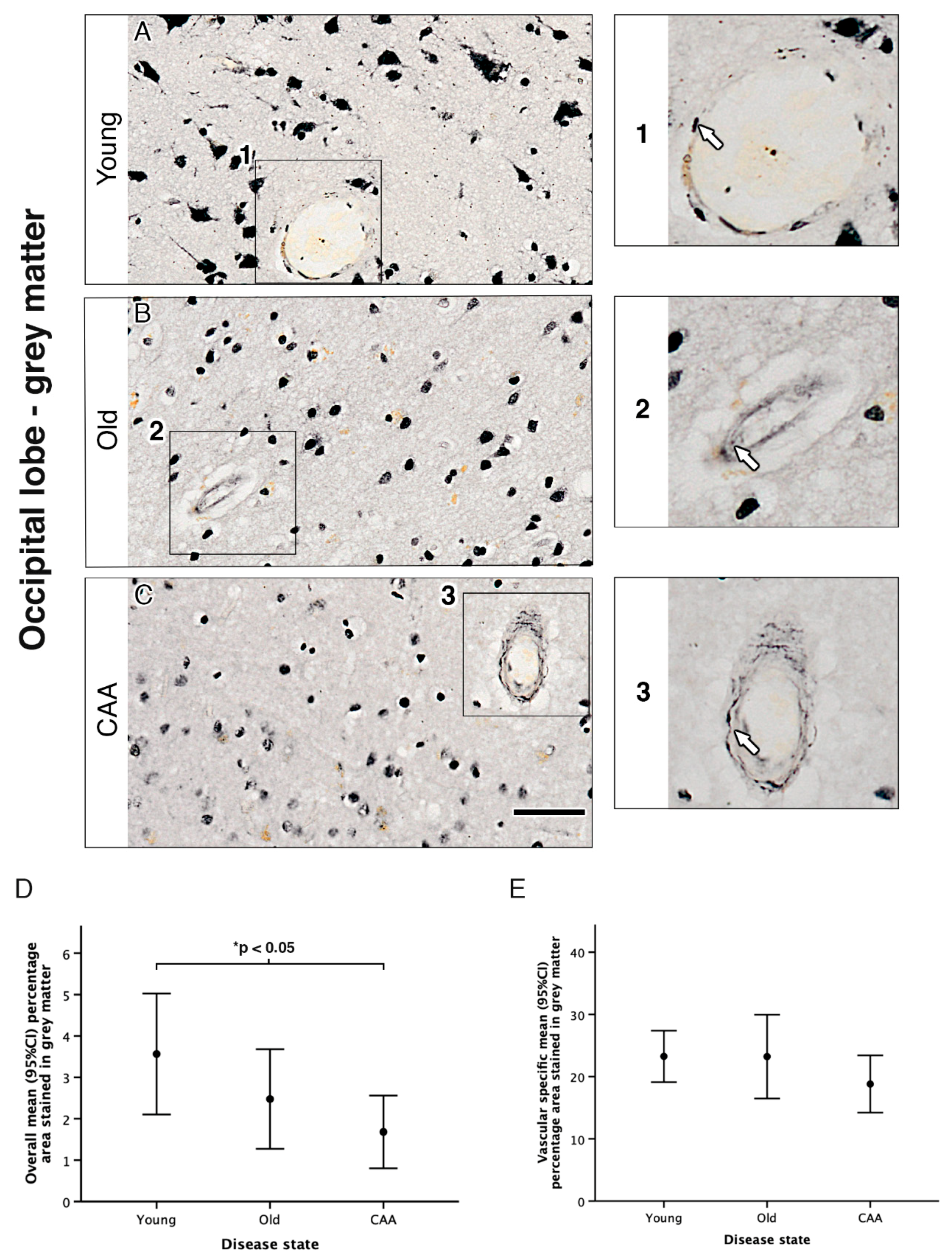 Pharmaceuticals 13 00261 g001
