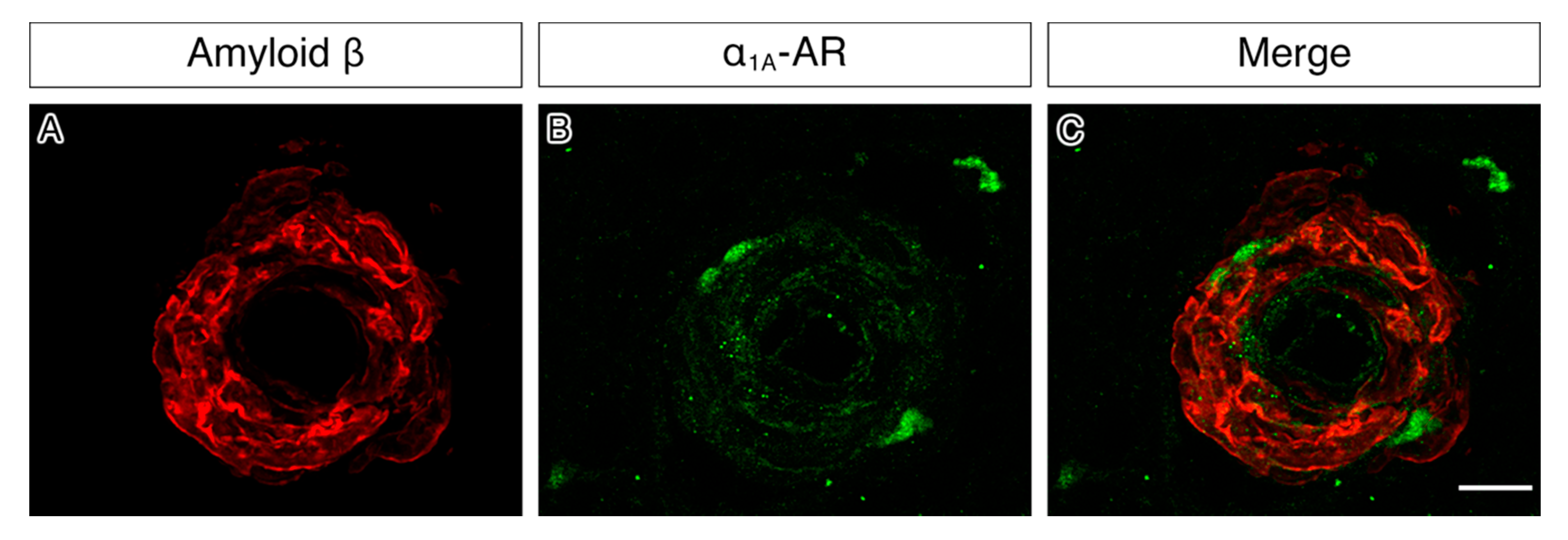 Pharmaceuticals 13 00261 g004