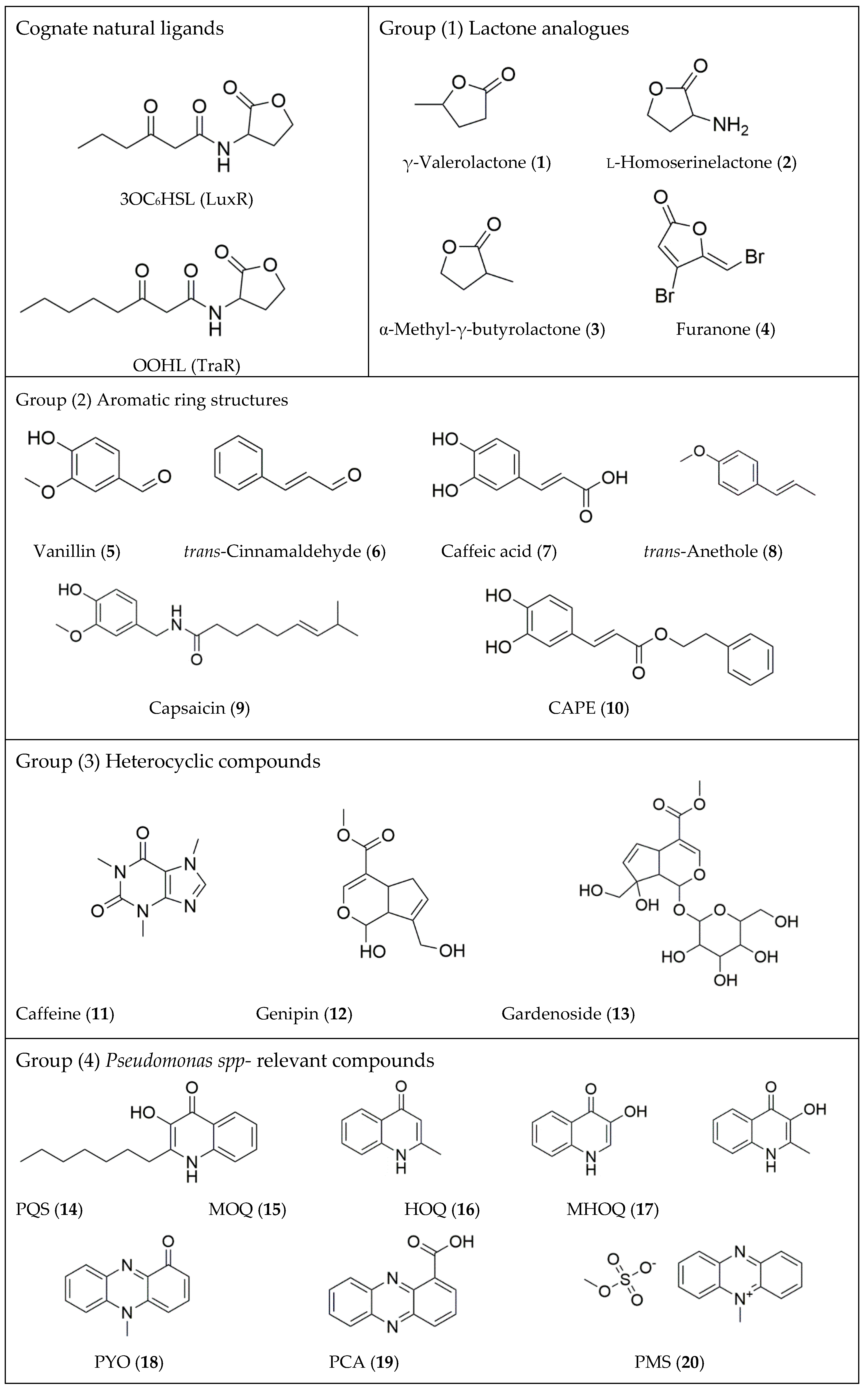 Pharmaceuticals 13 00263 g001a Pharmaceuticals 13 00263 g001a