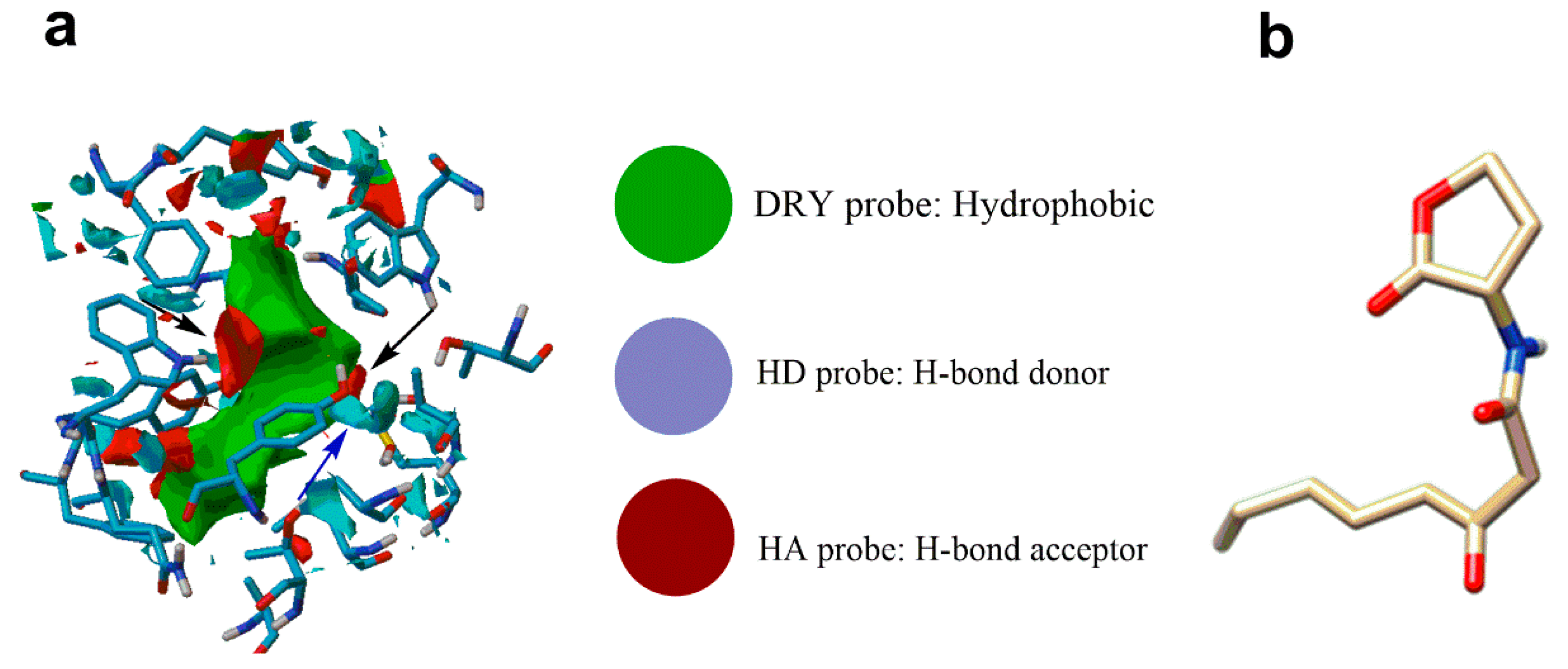 Pharmaceuticals 13 00263 g004 Pharmaceuticals 13 00263 g004