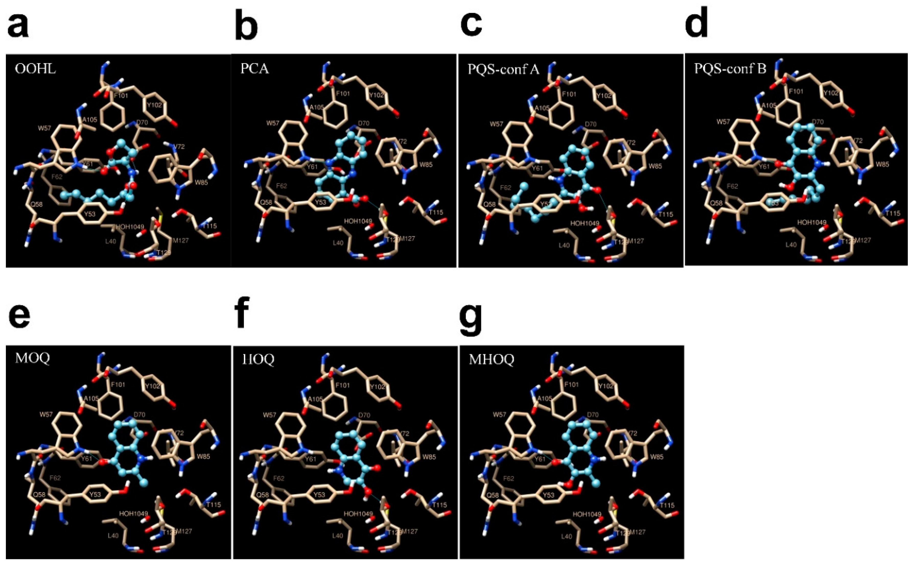 Pharmaceuticals 13 00263 g005 Pharmaceuticals 13 00263 g005