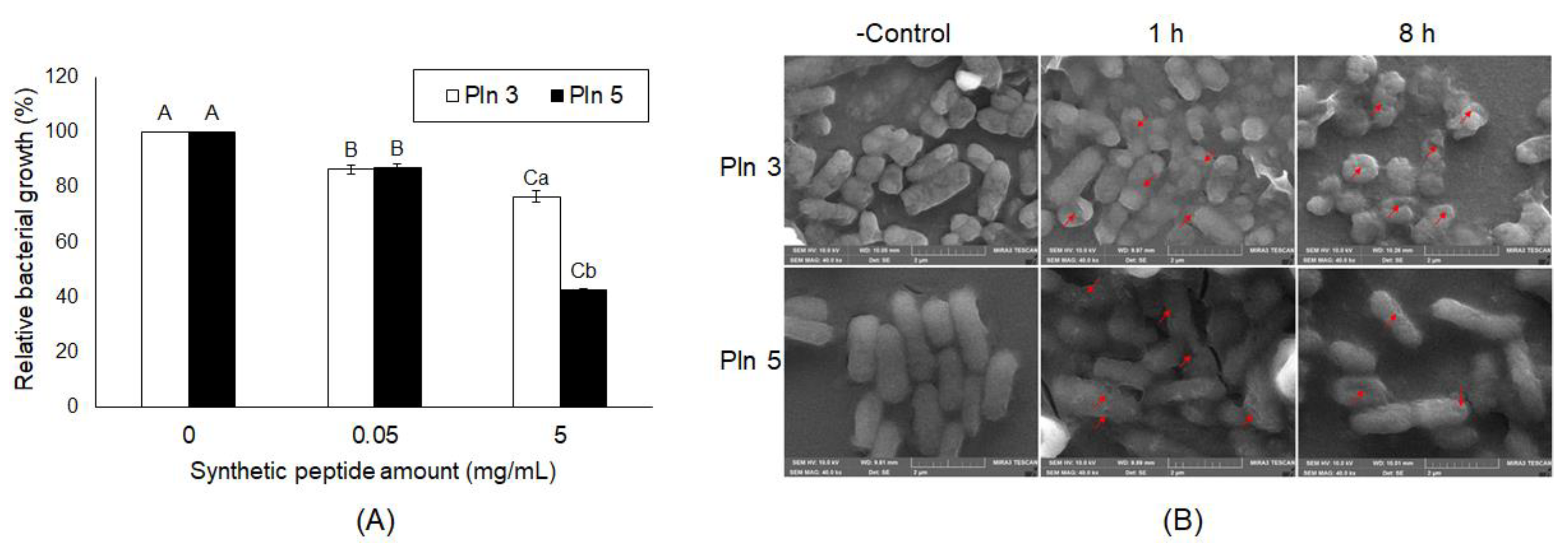 Pharmaceuticals 13 00266 g004
