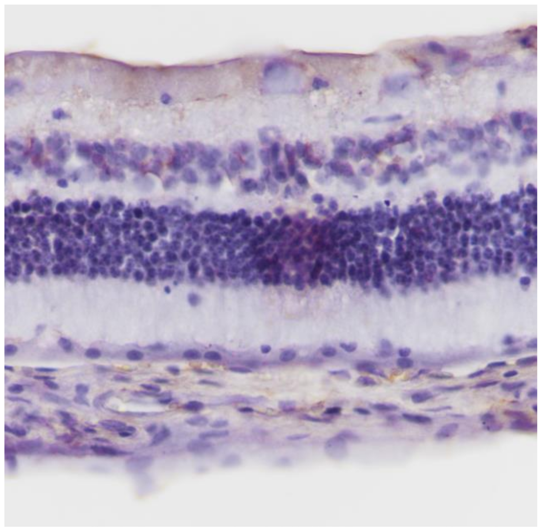 Pharmaceuticals 13 00267 g002