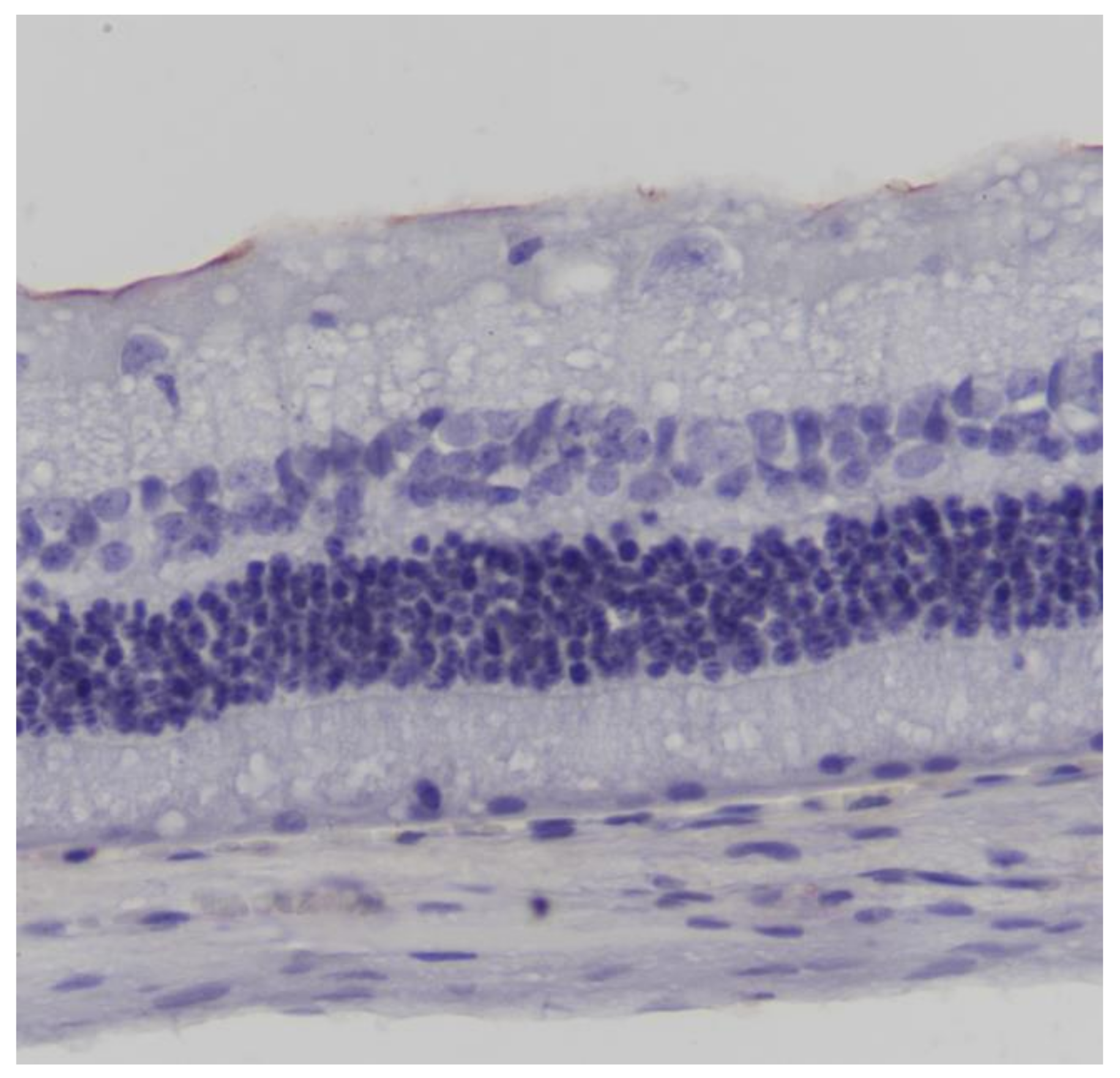 Pharmaceuticals 13 00267 g003