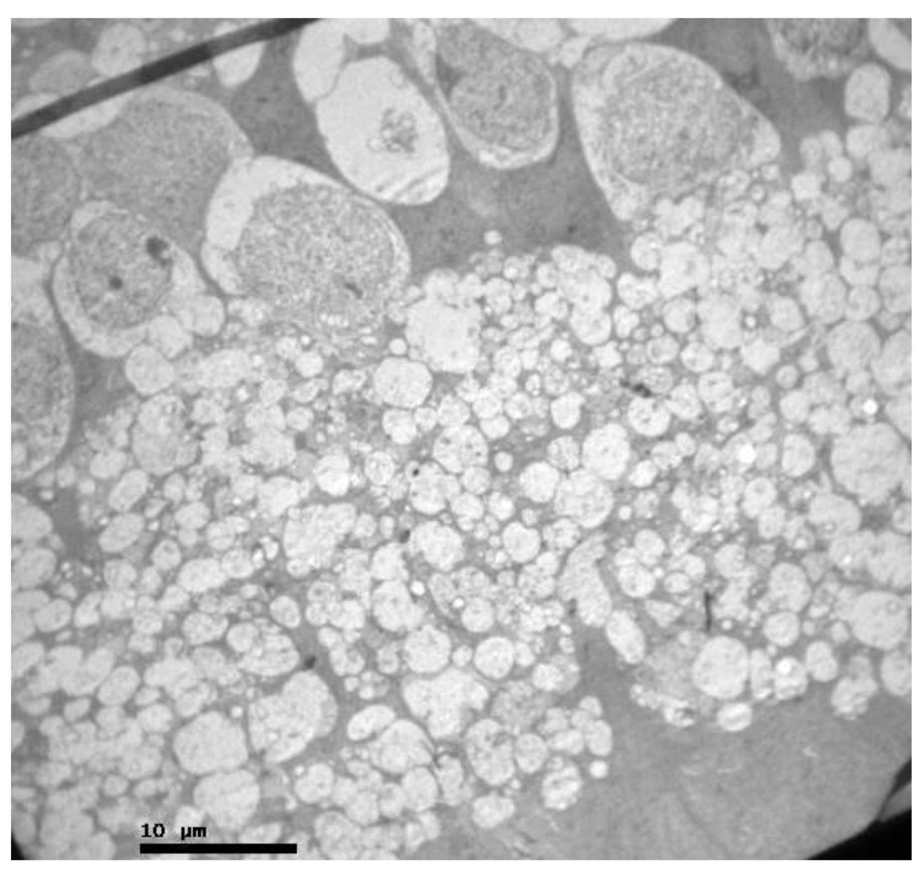 Pharmaceuticals 13 00267 g004