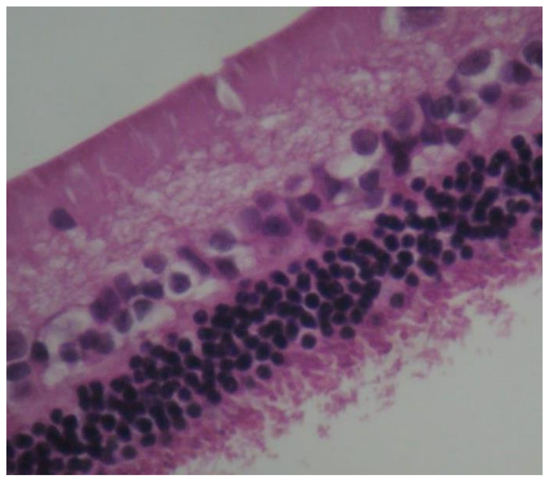 Pharmaceuticals 13 00267 g006