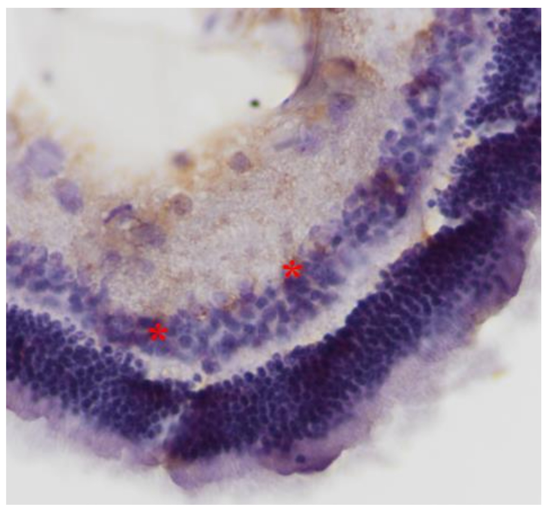 Pharmaceuticals 13 00267 g007