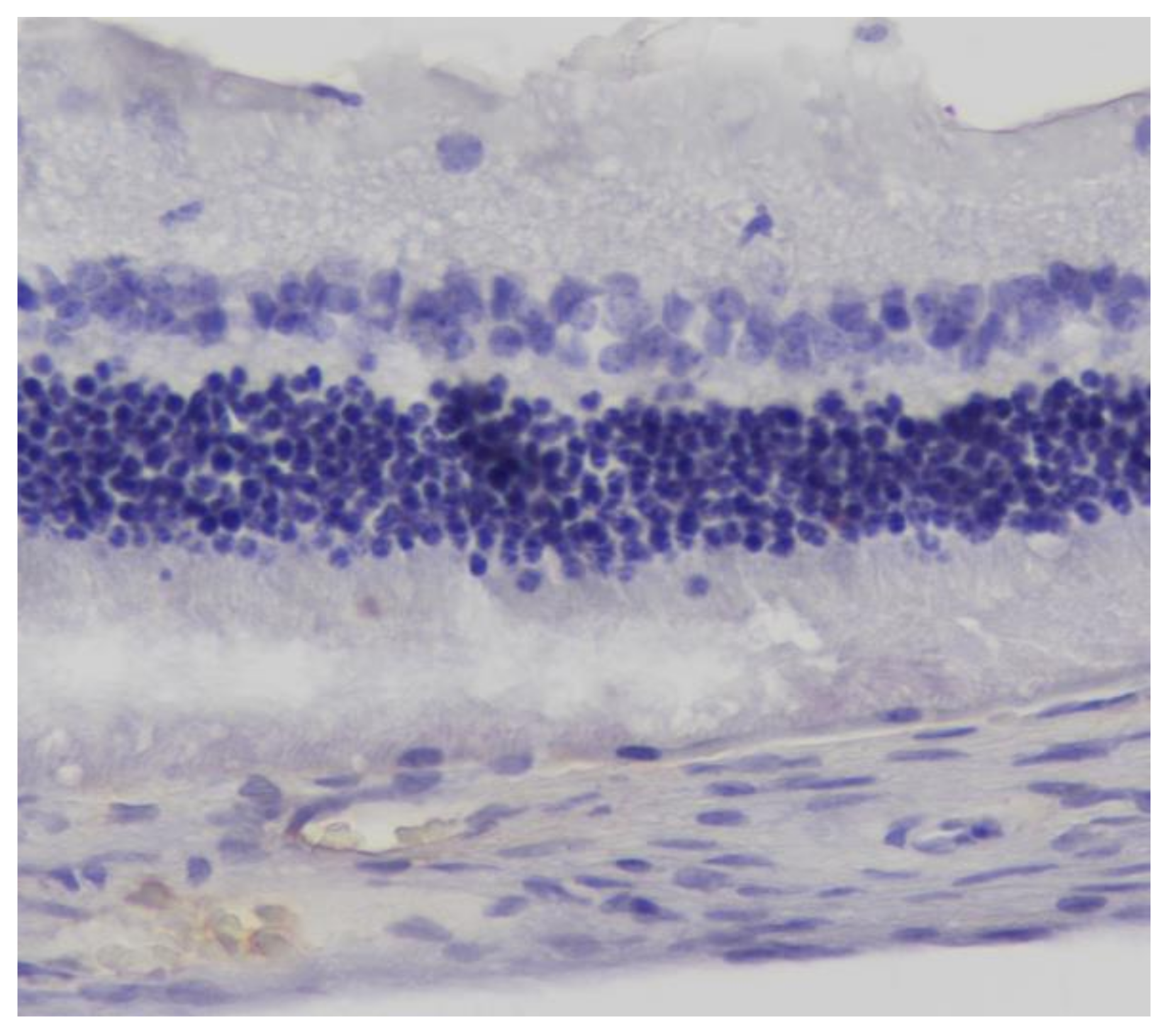 Pharmaceuticals 13 00267 g008