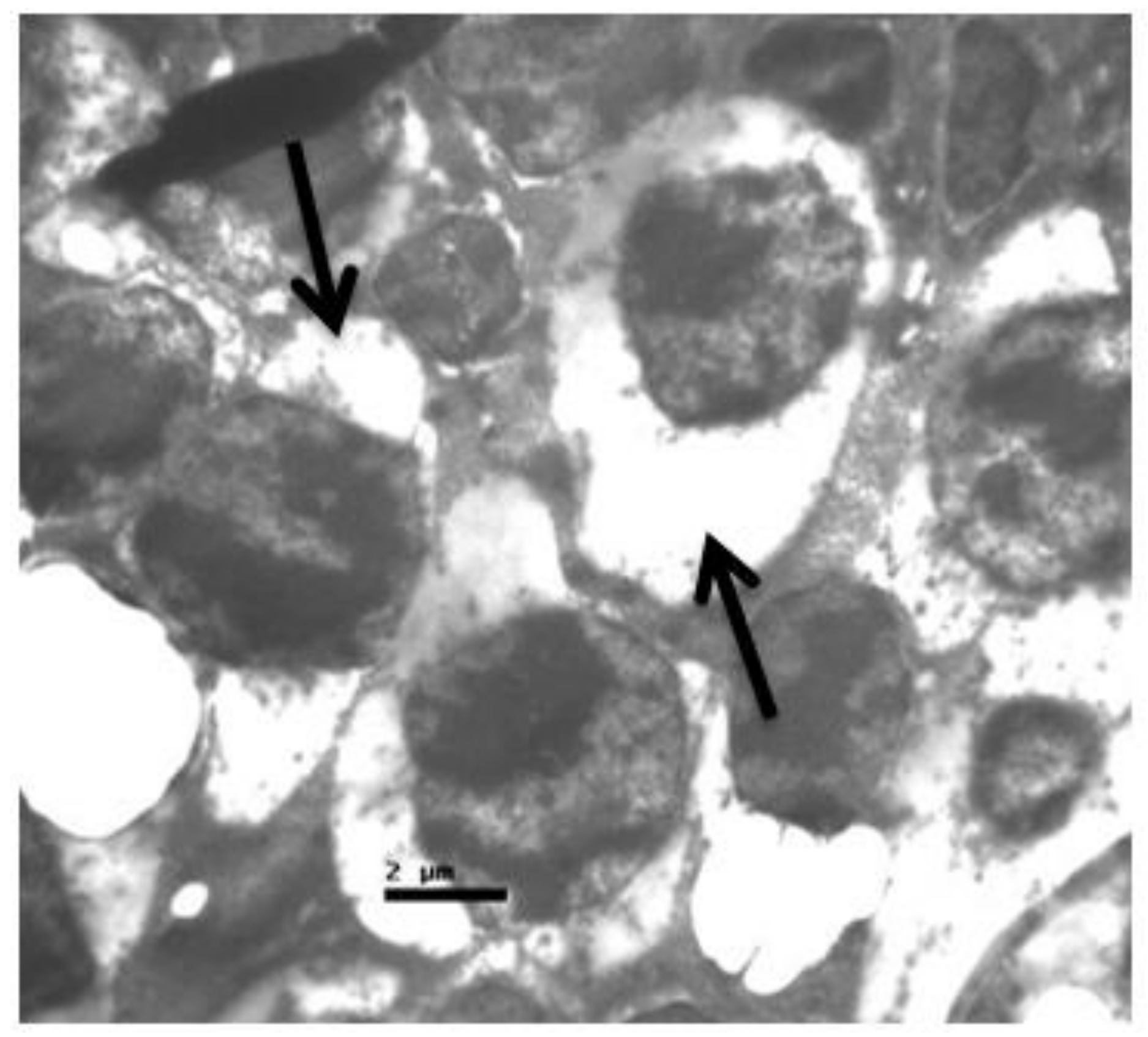 Pharmaceuticals 13 00267 g009