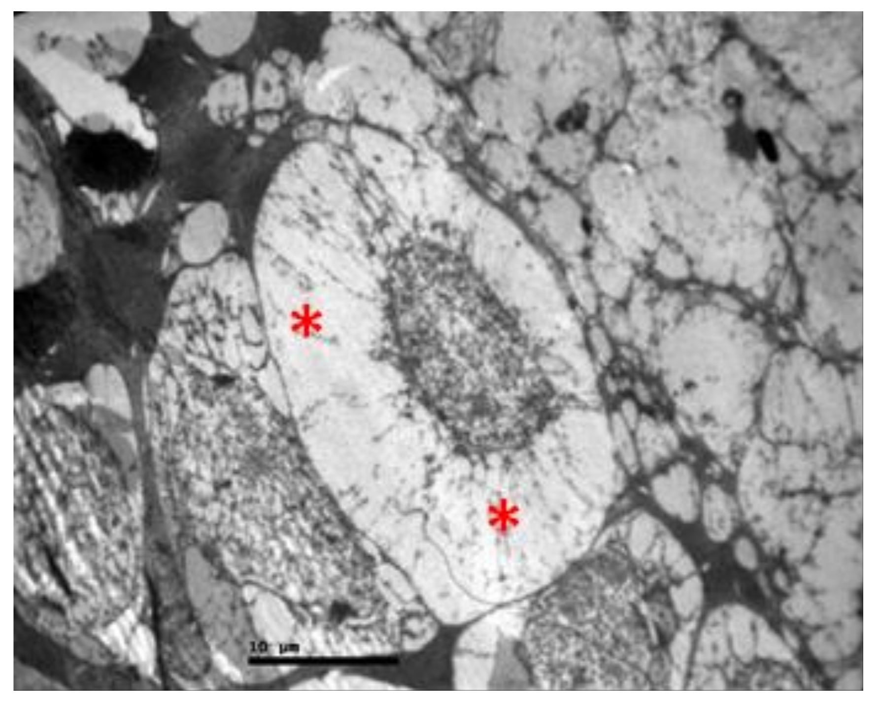 Pharmaceuticals 13 00267 g011