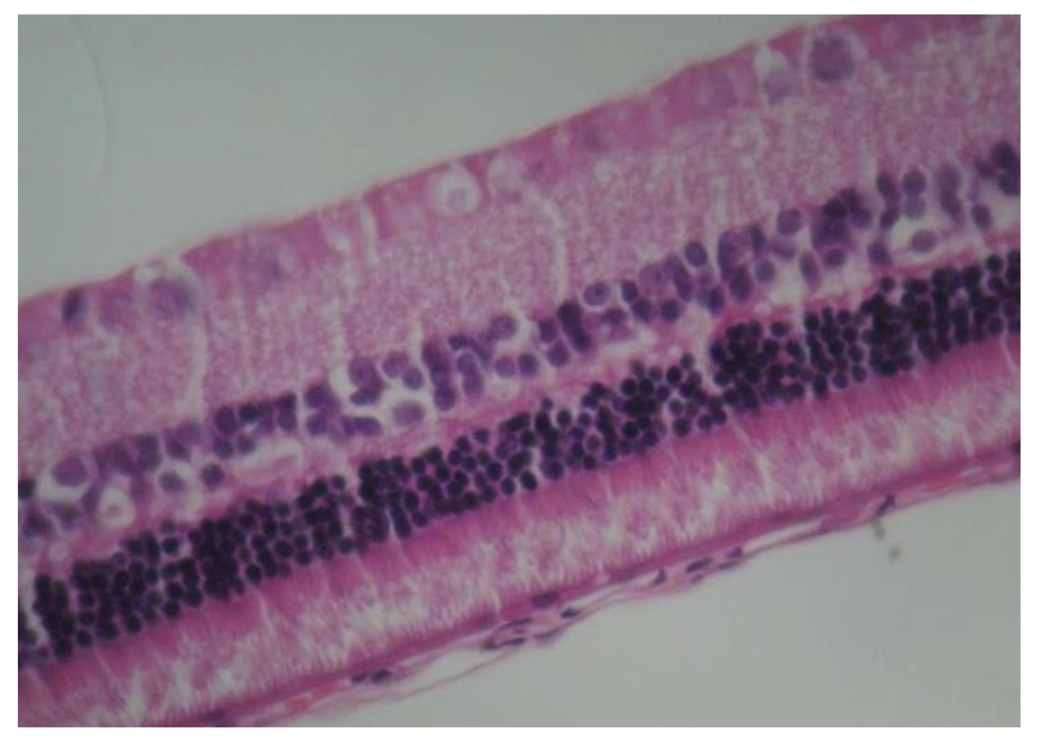 Pharmaceuticals 13 00267 g012