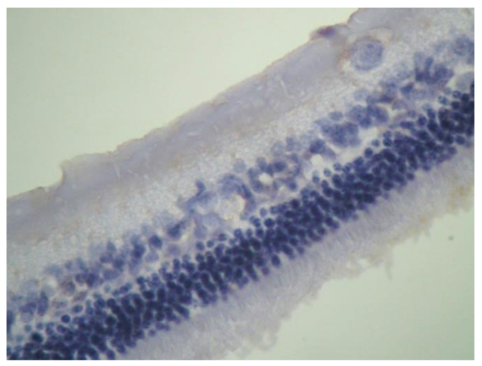 Pharmaceuticals 13 00267 g013