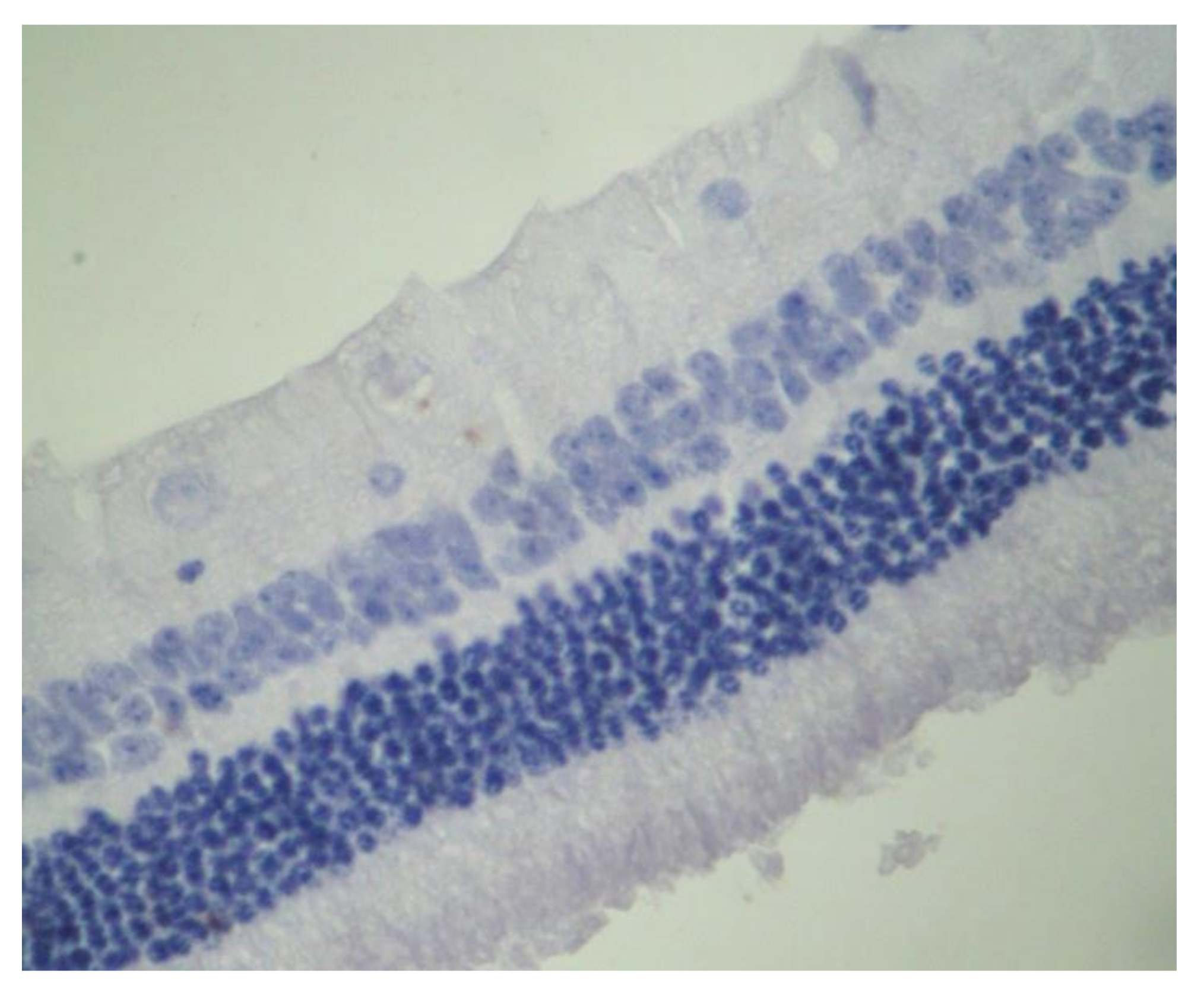 Pharmaceuticals 13 00267 g014