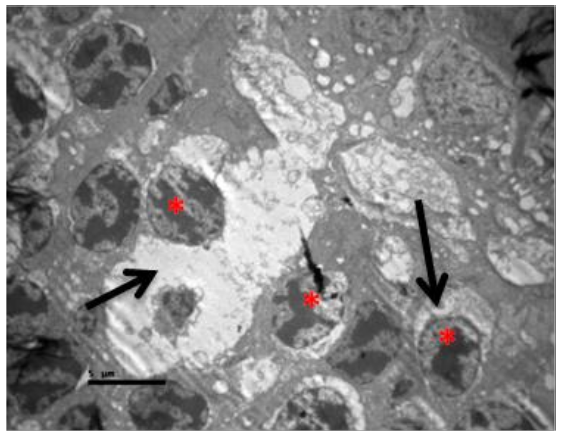 Pharmaceuticals 13 00267 g016