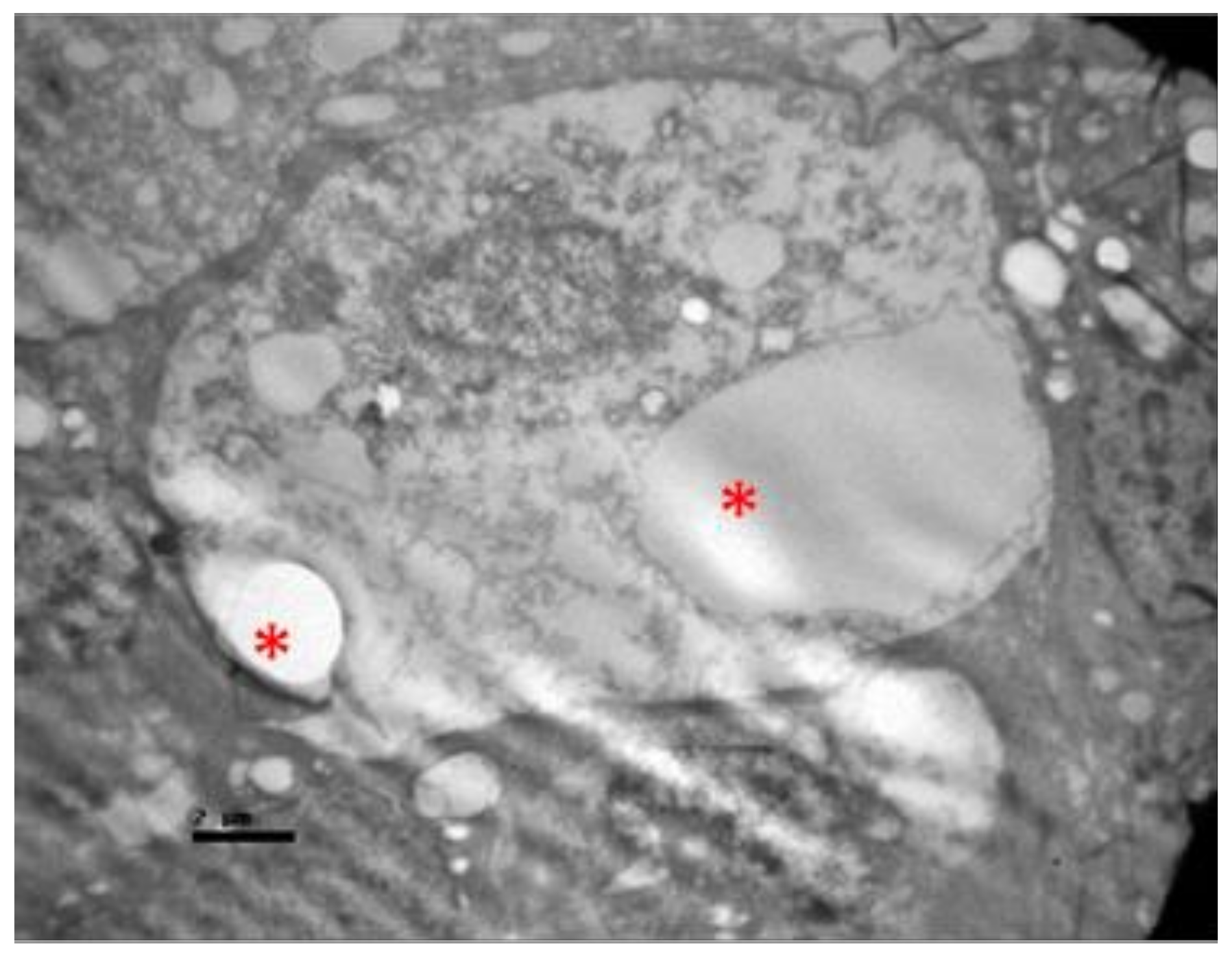 Pharmaceuticals 13 00267 g017