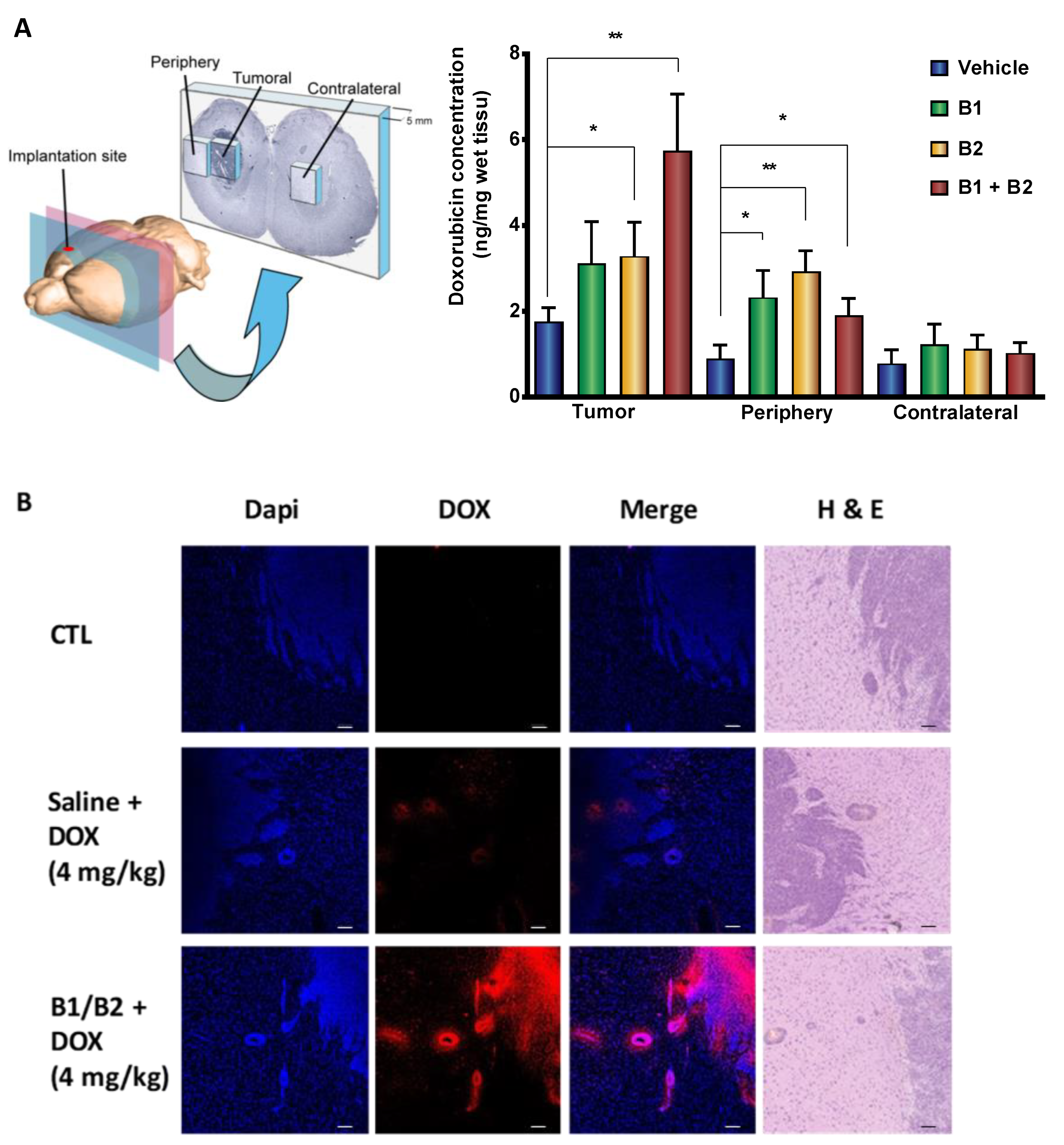Pharmaceuticals 13 00279 g001 Pharmaceuticals 13 00279 g001