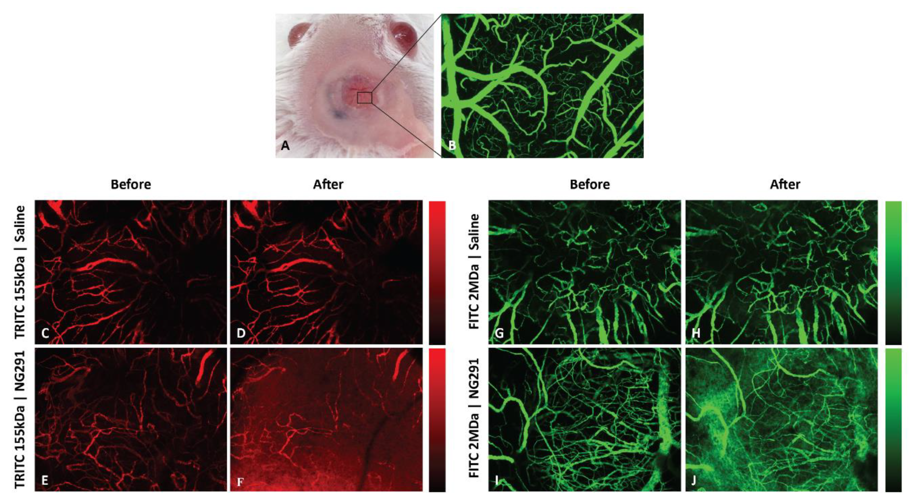 Pharmaceuticals 13 00279 g002 Pharmaceuticals 13 00279 g002