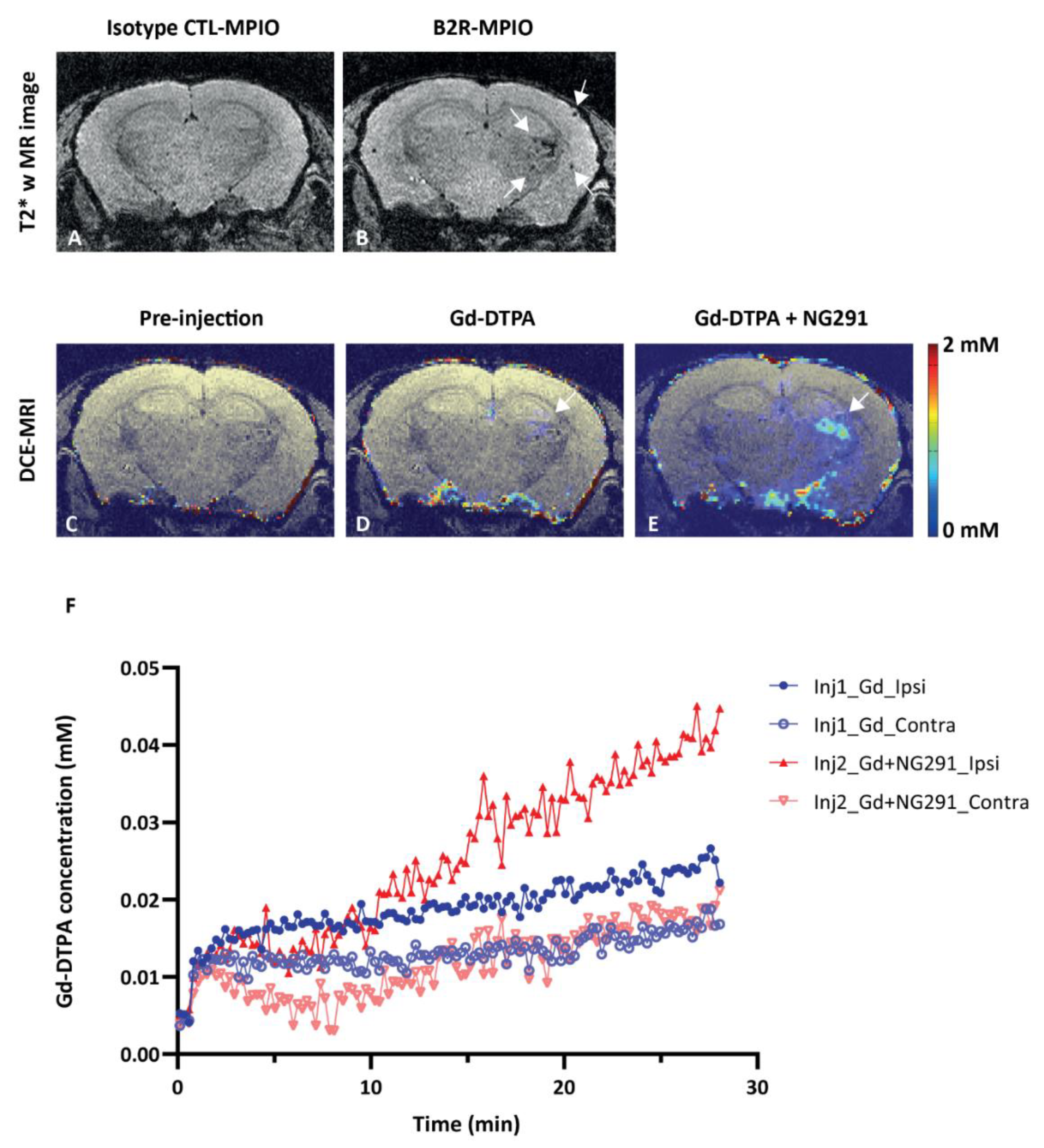 Pharmaceuticals 13 00279 g005 Pharmaceuticals 13 00279 g005