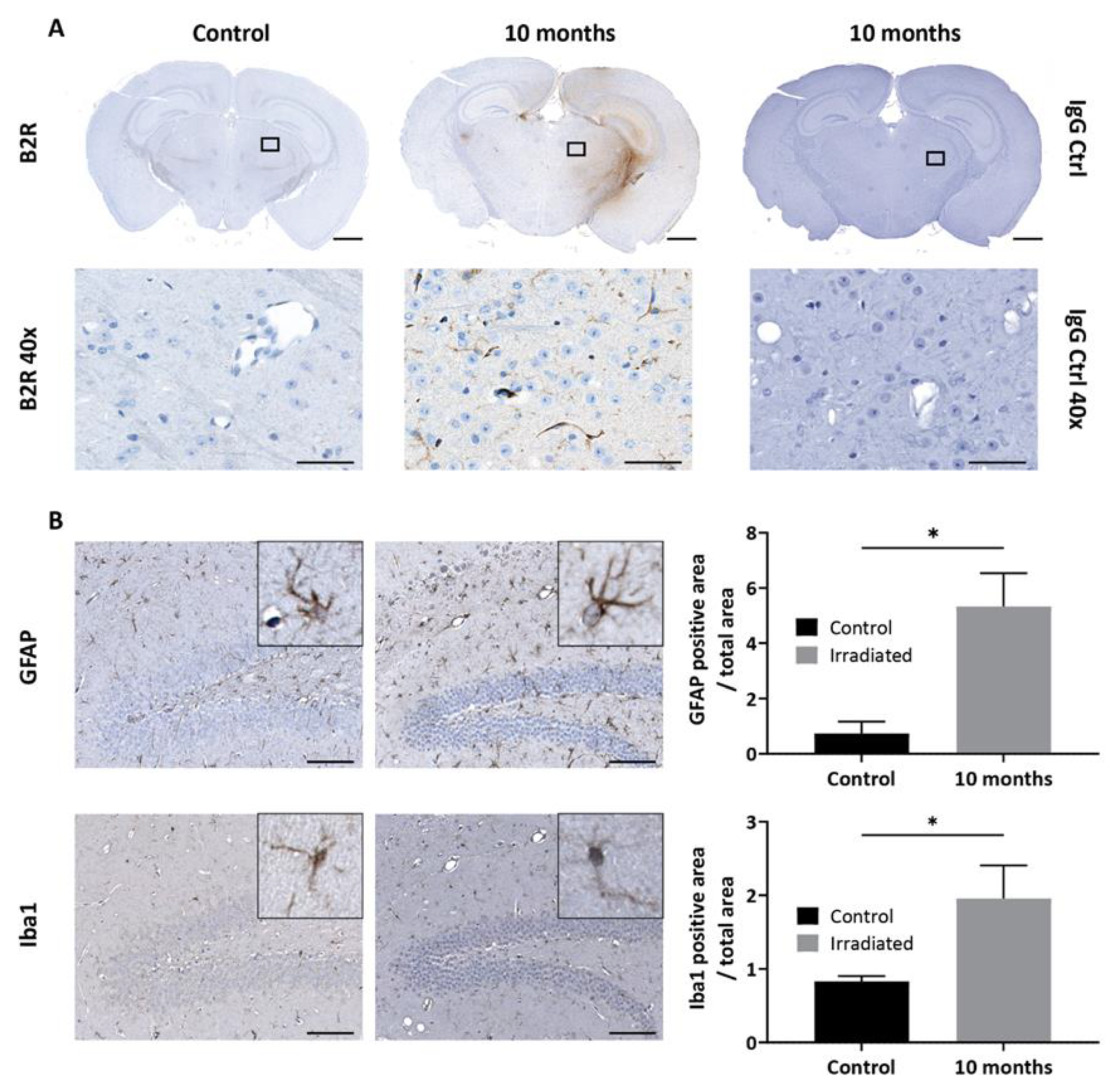 Pharmaceuticals 13 00279 g006 Pharmaceuticals 13 00279 g006