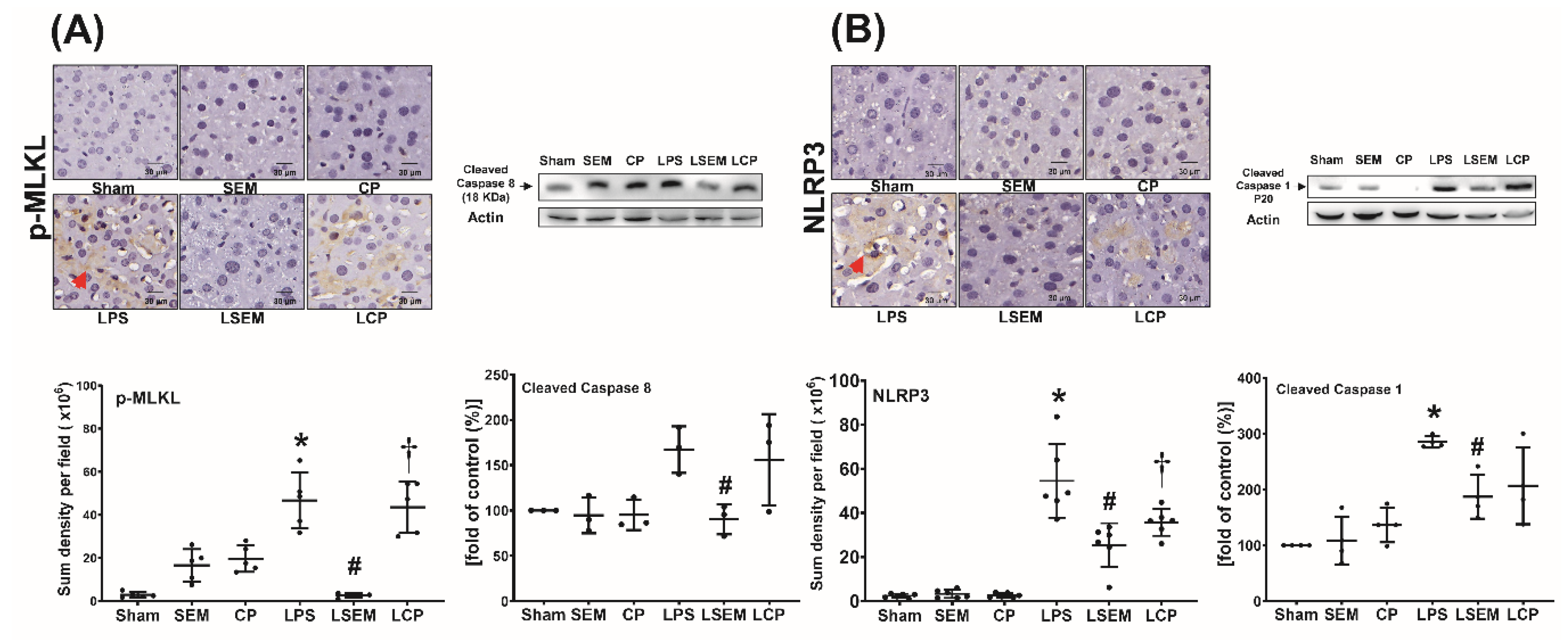 Pharmaceuticals 13 00280 g005