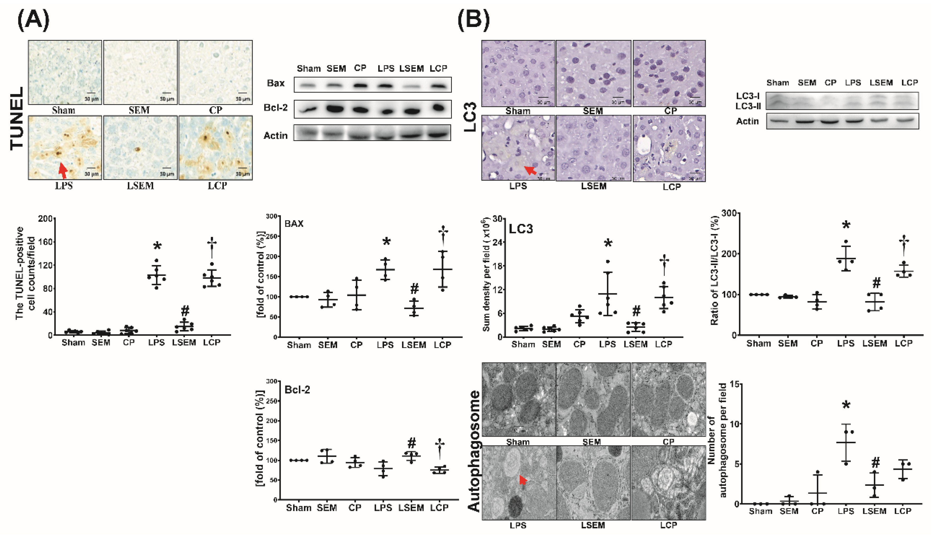 Pharmaceuticals 13 00280 g006