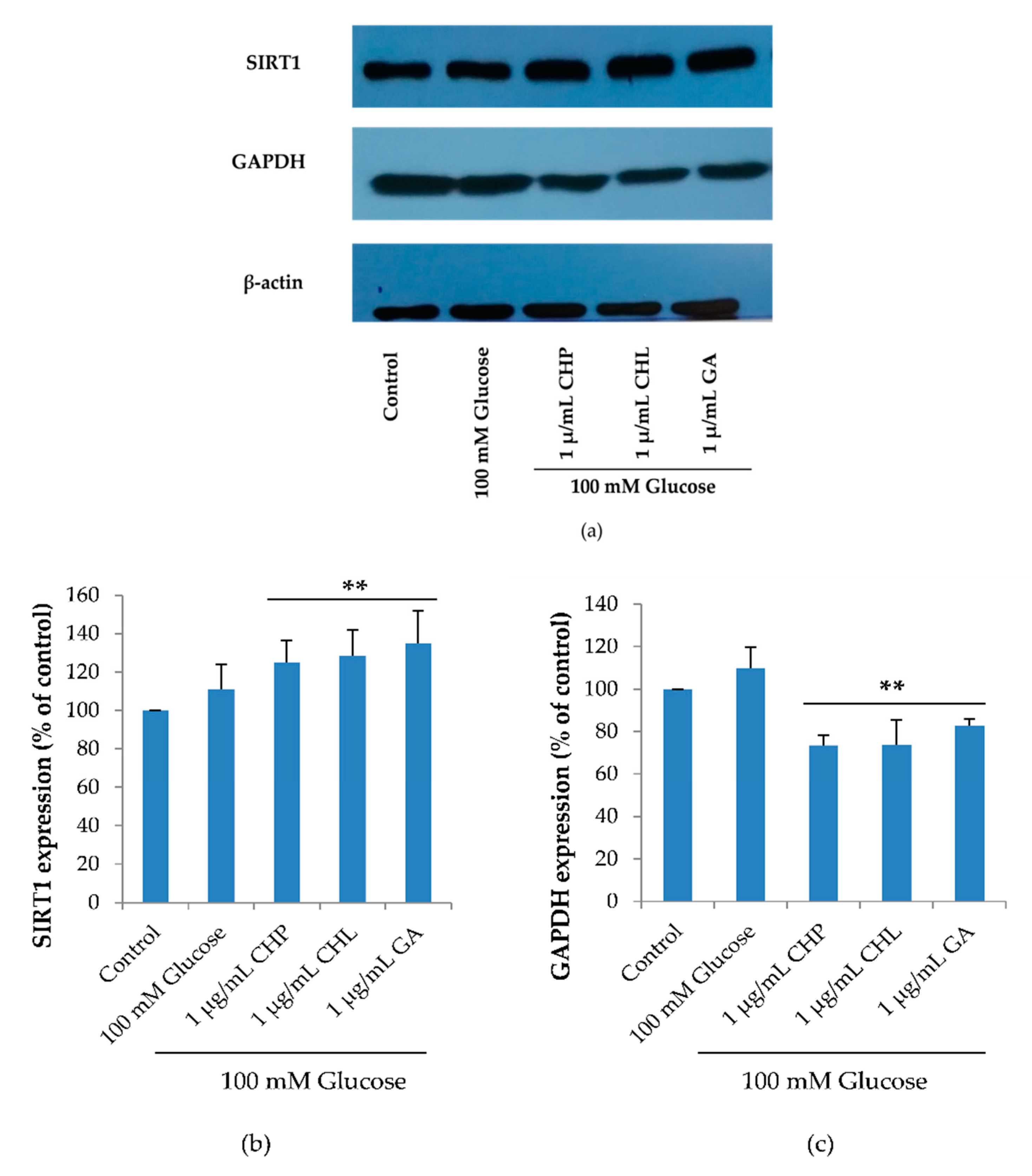 Pharmaceuticals 13 00283 g009